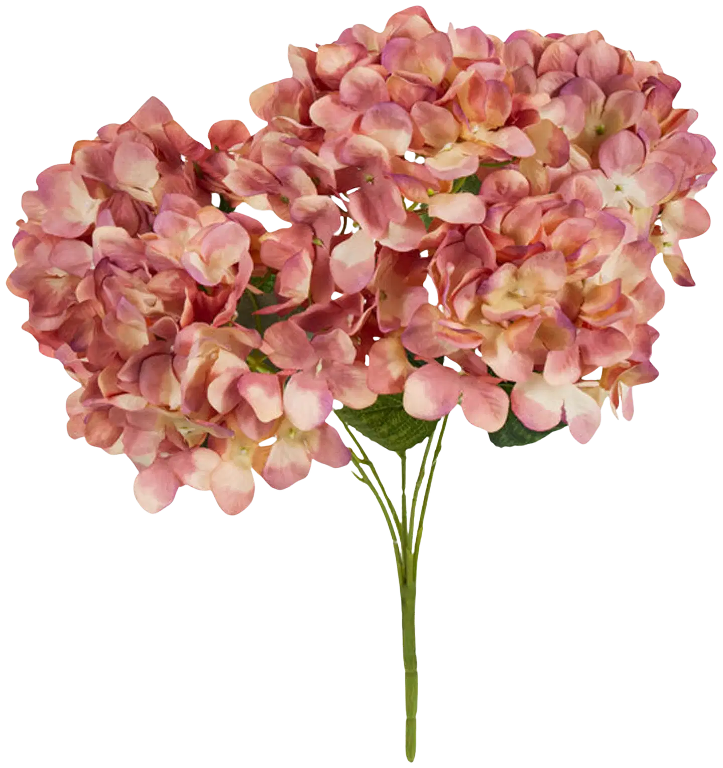 AmandaB Hortensia vanha rosa 48cm