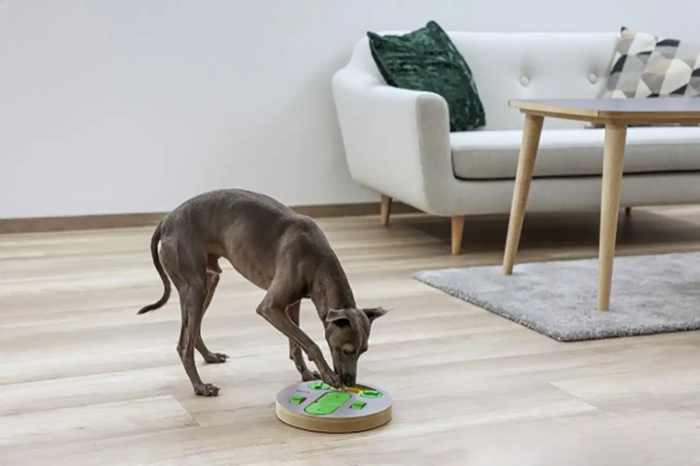 Kerbl koiran aktivointilelu pyöreä Ø25cm - 4