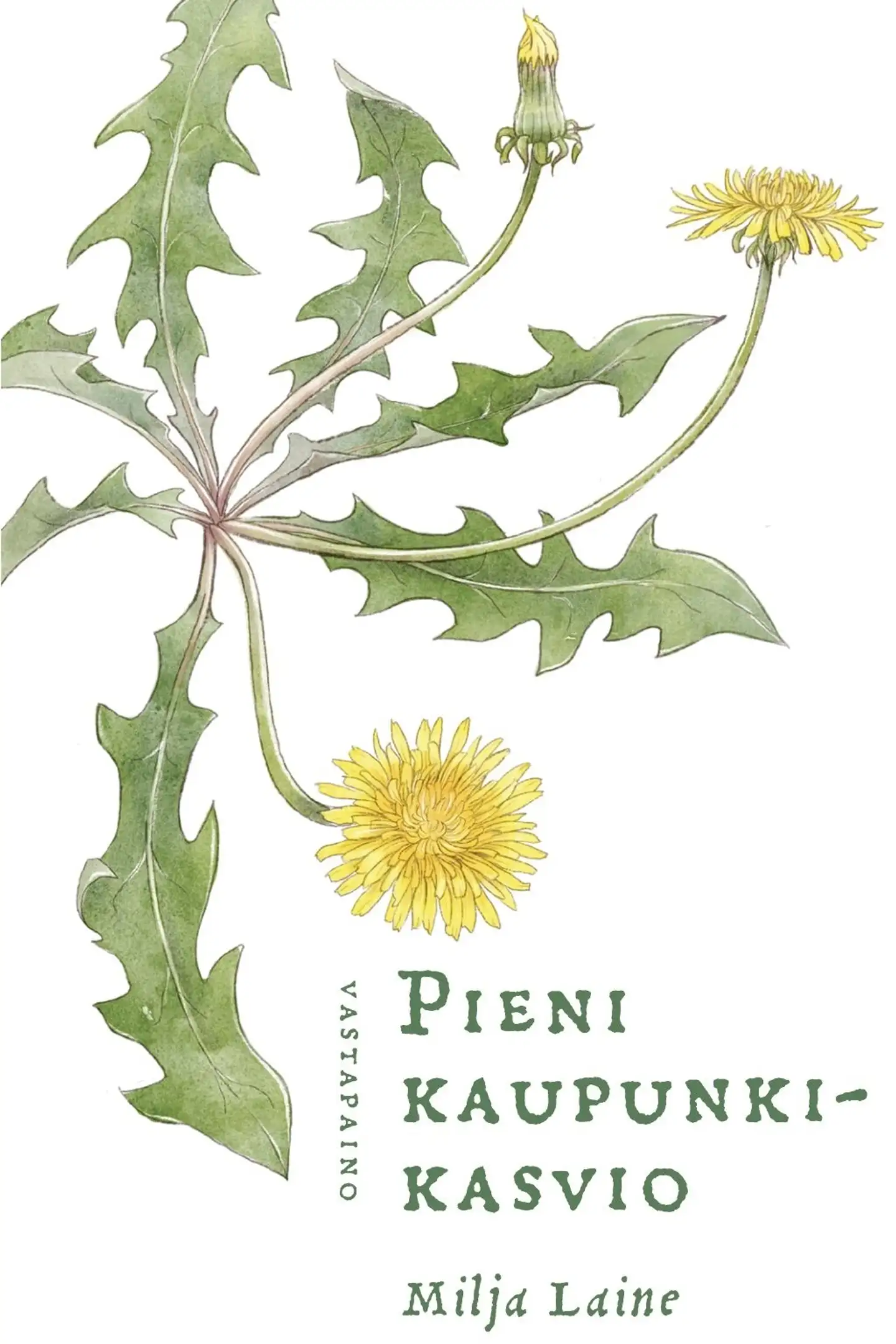 Laine, Pieni kaupunkikasvio