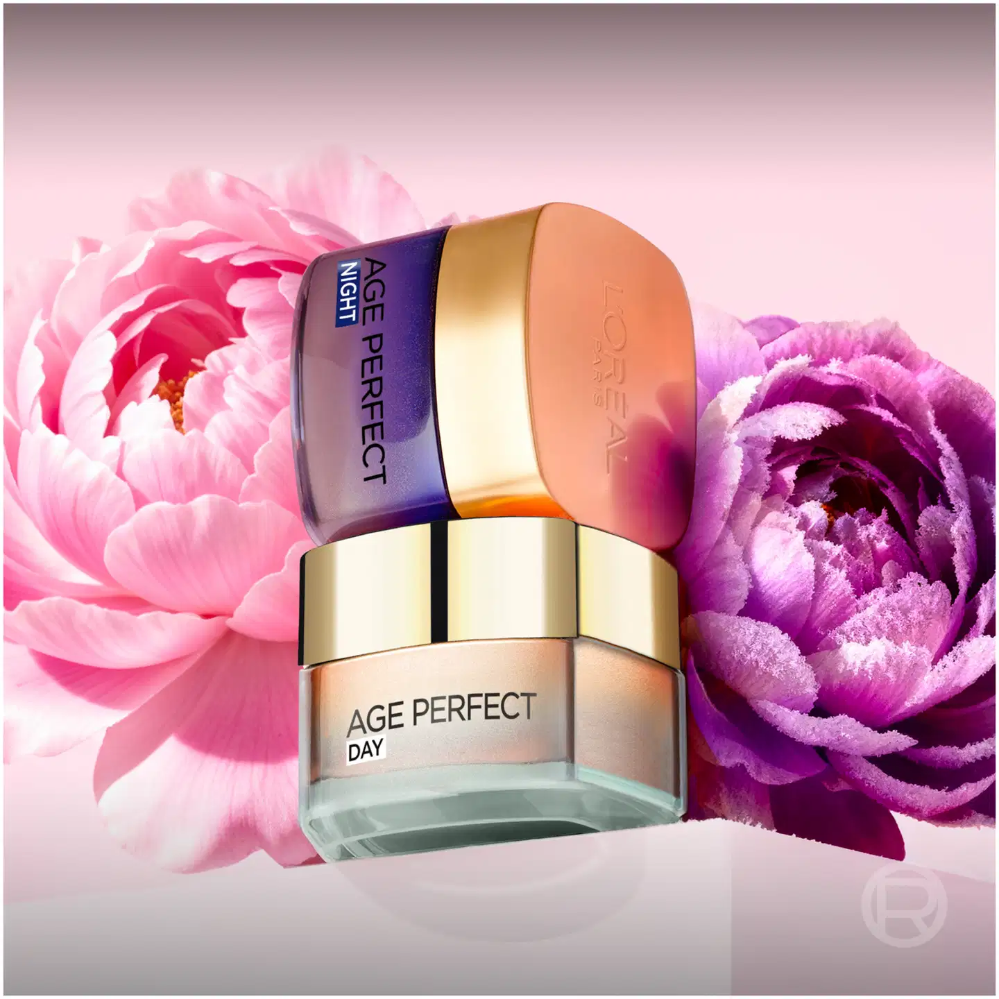 L'Oréal Paris Age Perfect Rosy Glow päivävoide normaalille iholle 50 ml - 9