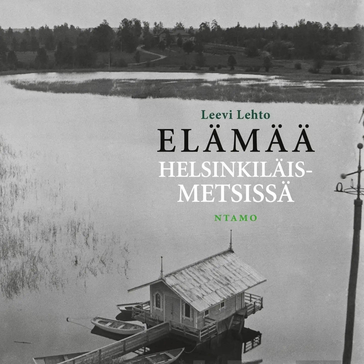 Lehto, Elämää helsinkiläismetsissä