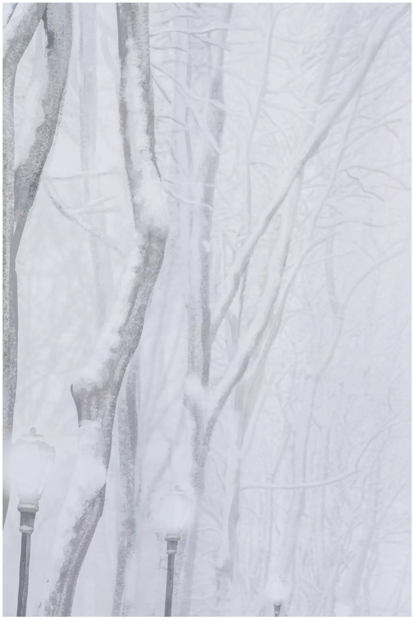 House suihkuverho Snowy trees 180x200 cm - 3