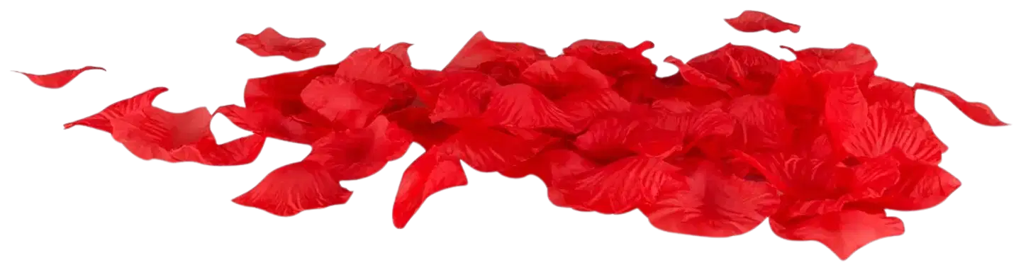 EasyToys seksivälinesetti 7-pack - 8