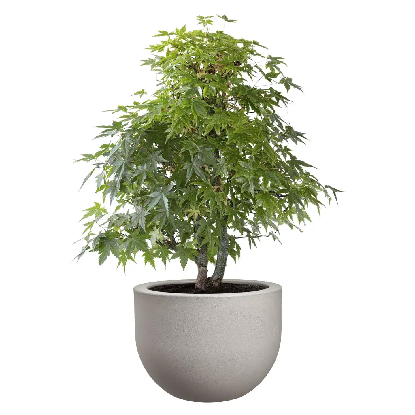 florus ruukku 47cm vaalea harmaa - 2