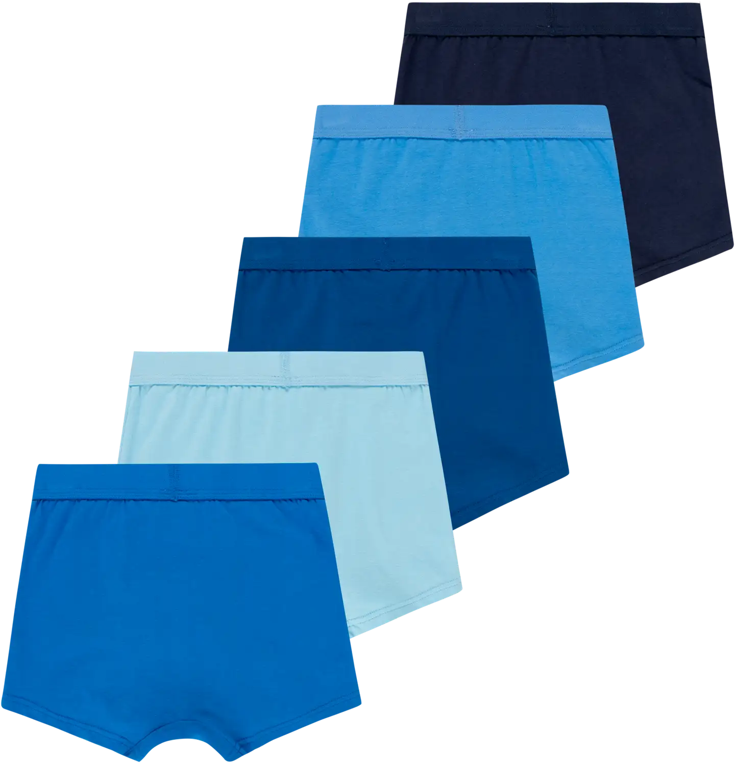 House lasten bokserit 231H082503 5-pack - blue multicolor - 2