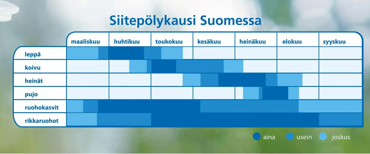 Biobe siitepölysuodatin Fresh 100 -korvausilmaventtiiliin, 2 kpl - 4