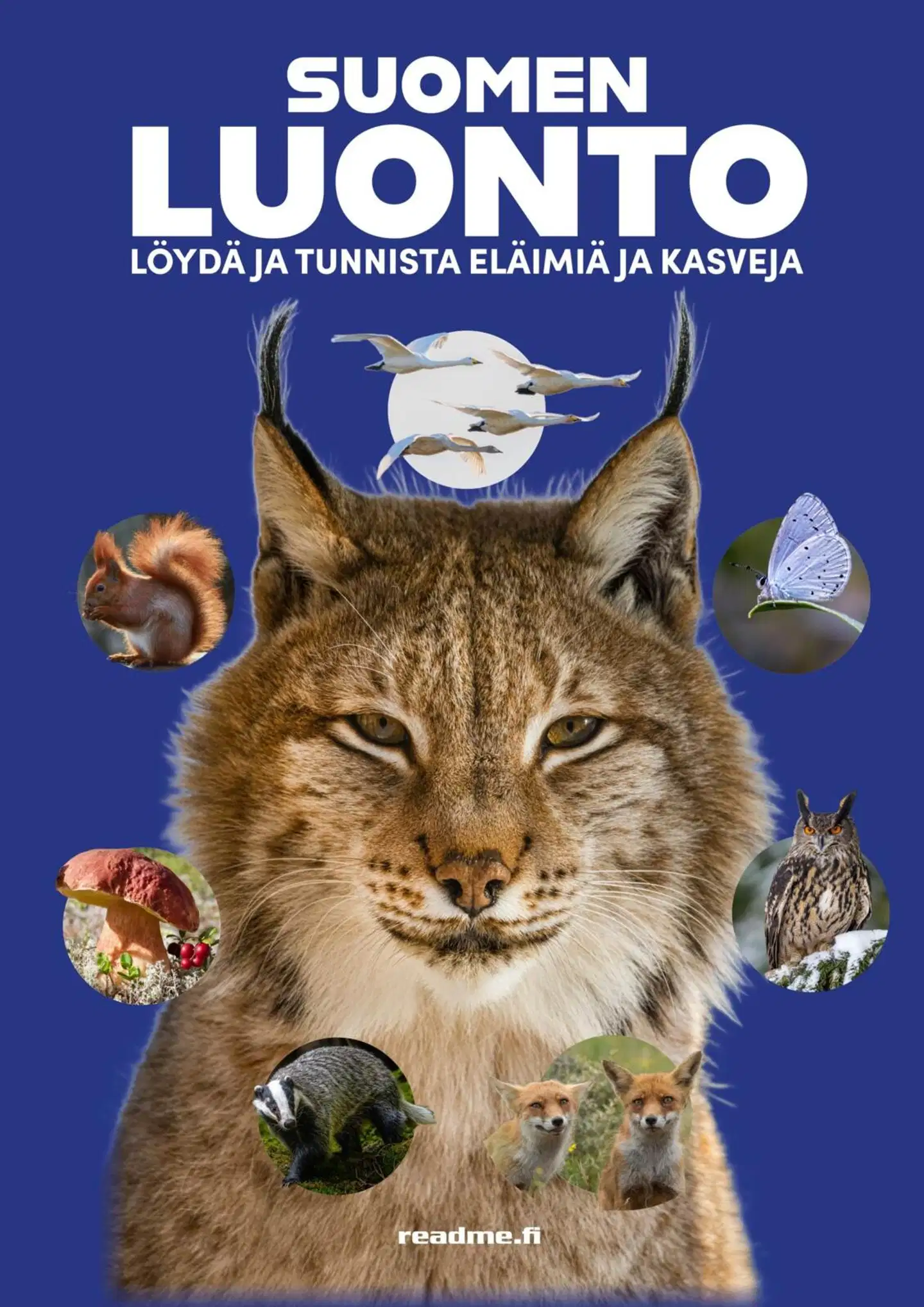 Ovaskainen, Suomen luonto - Löydä ja tunnista eläimiä ja kasveja