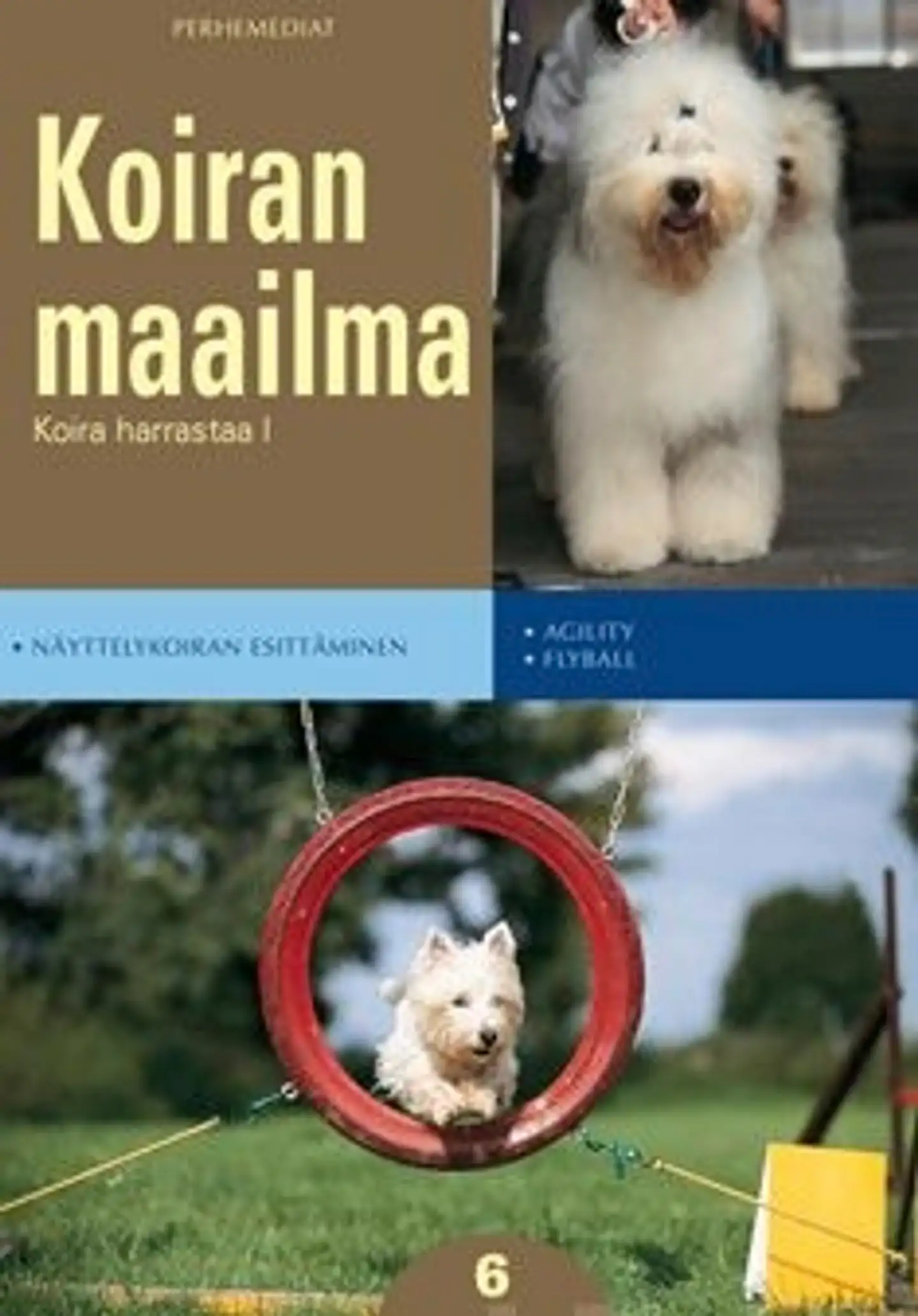 Andres, Koira harrastaa 1 - näyttelykoiran esittäminen : agility,fyball