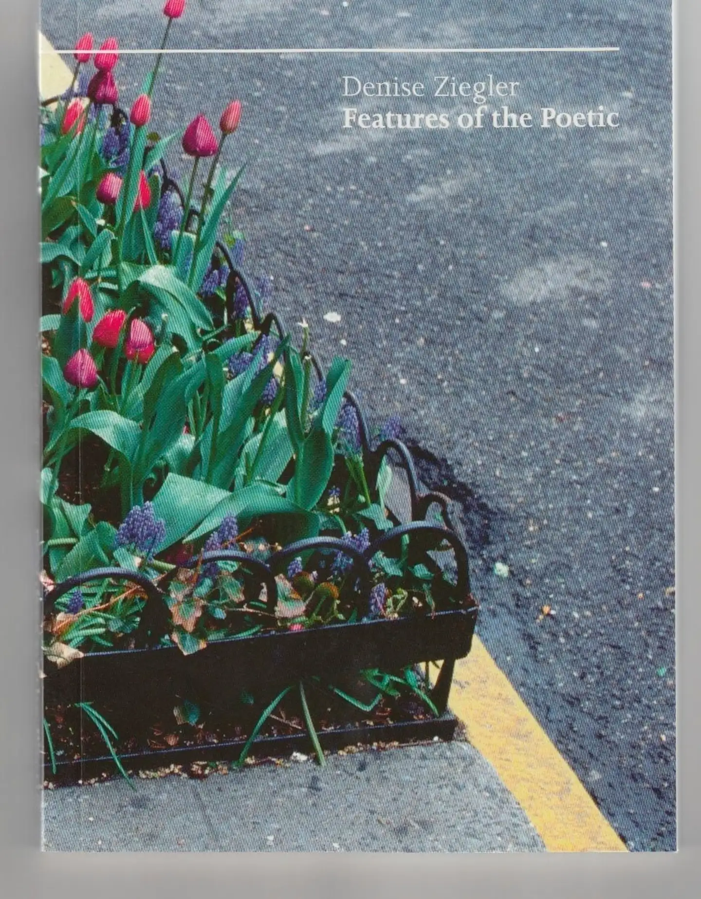 Ziegler, Features of the Poetic - The Mimetic Method of the Visual Artist