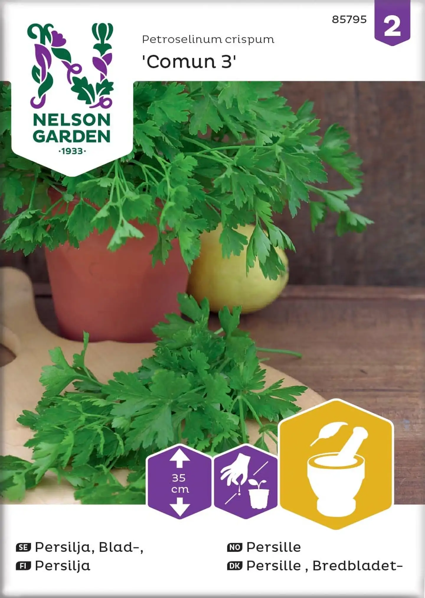 Nelson Garden Siemen Persilja, Sileälehtinen, Comun 3