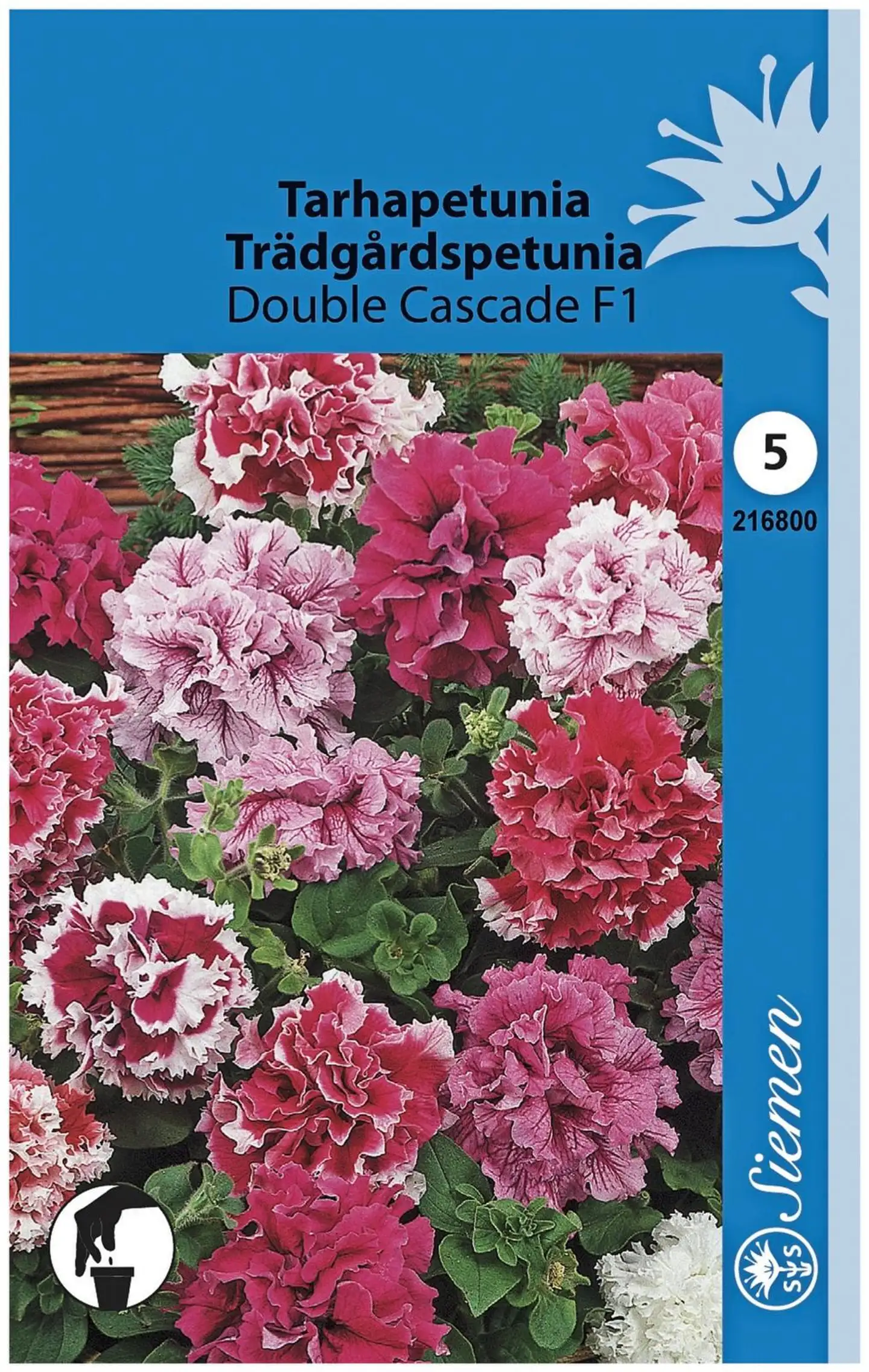 Tarhapetunia Double Cascade F1