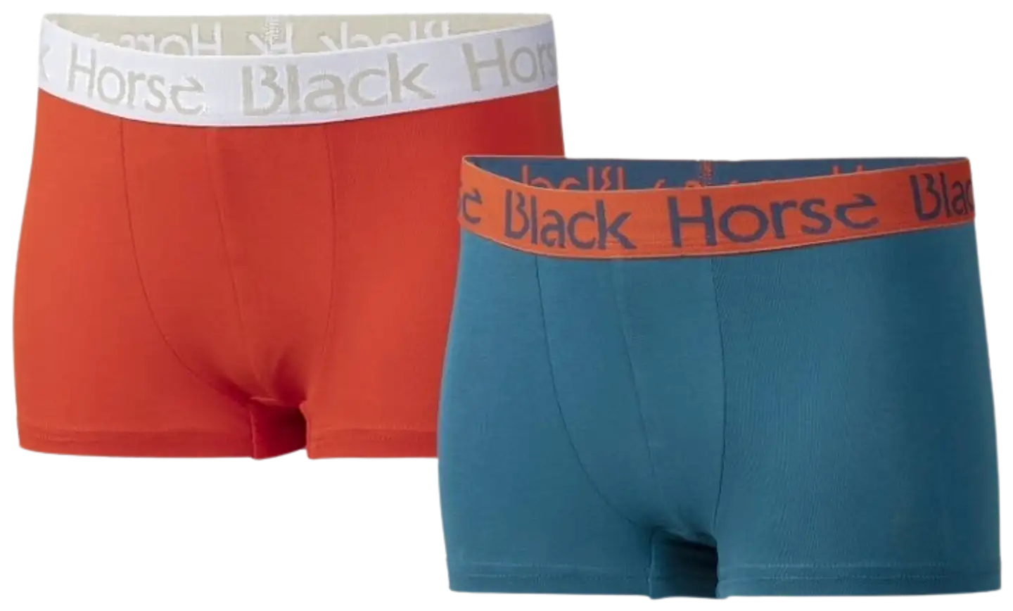 Black Horse lasten bokserit 2-pack J022 - Icy Orange