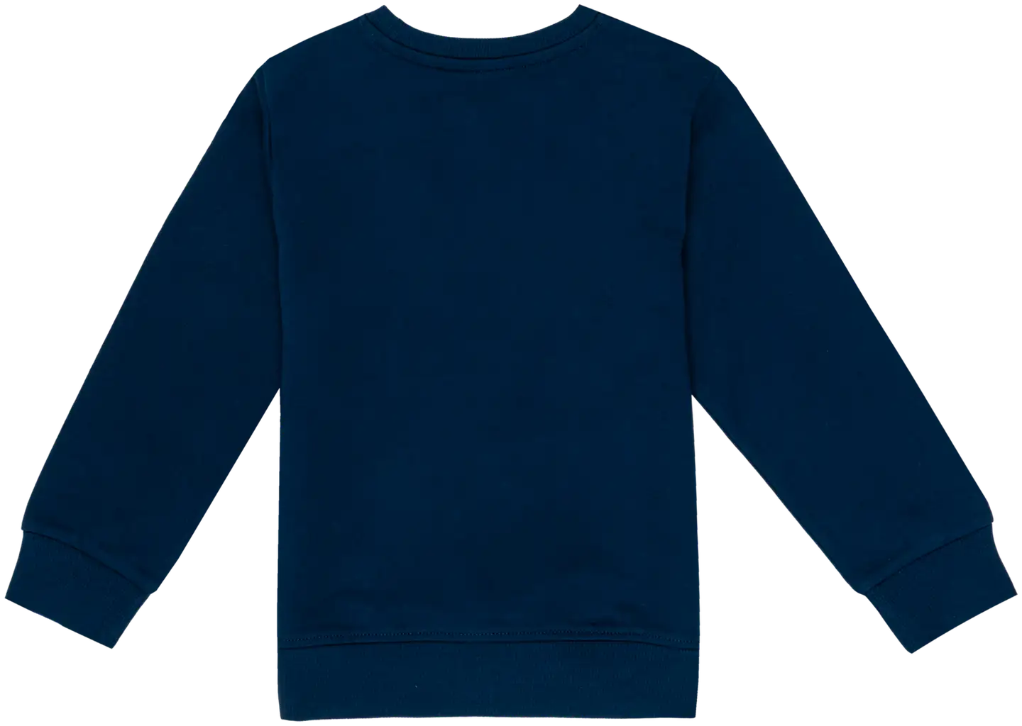 Ciraf lasten collegepaita dinot 25PC260217 - Titan 19-4128 Tcx - 2