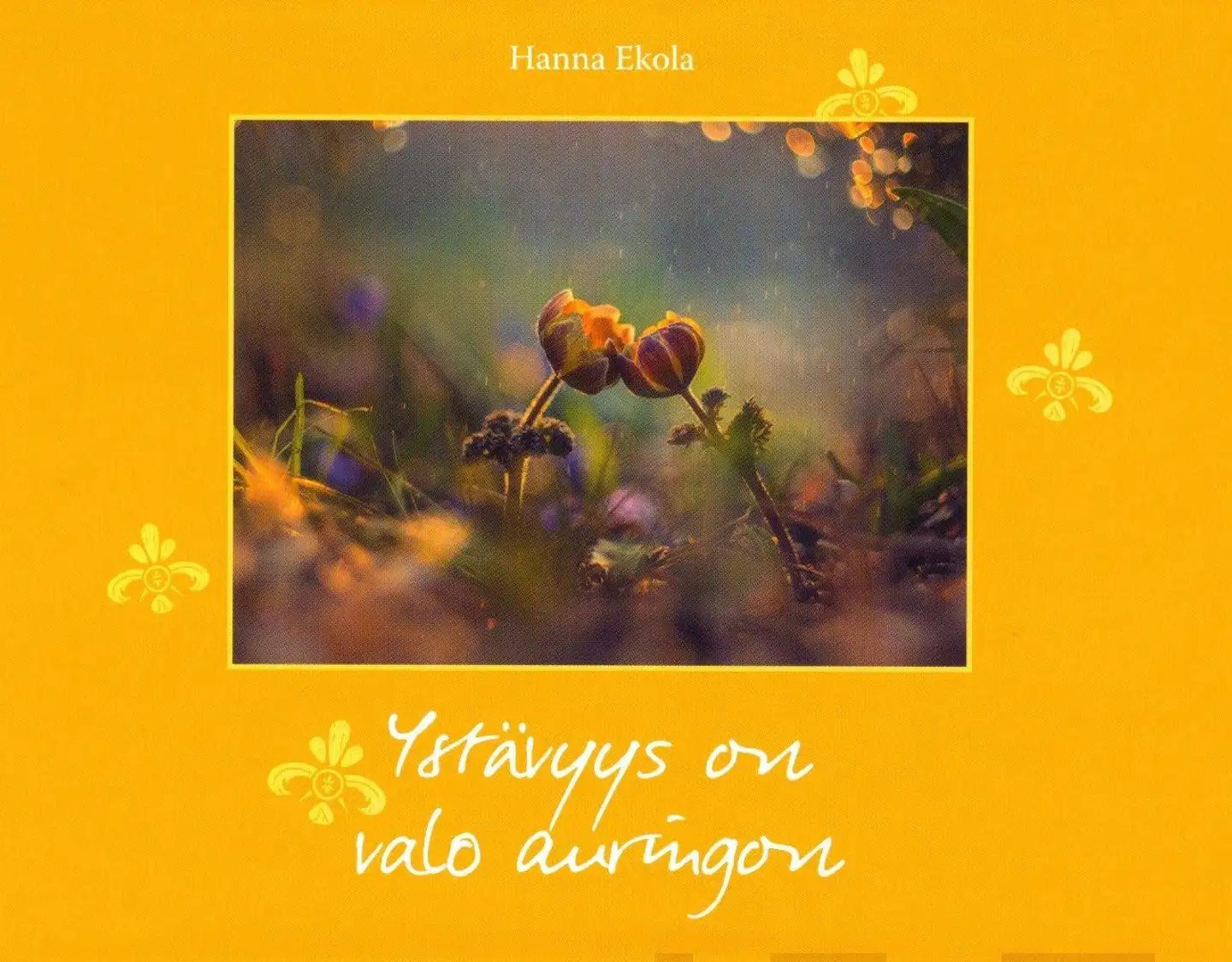 Ekola, Ystävyys on valo auringon
