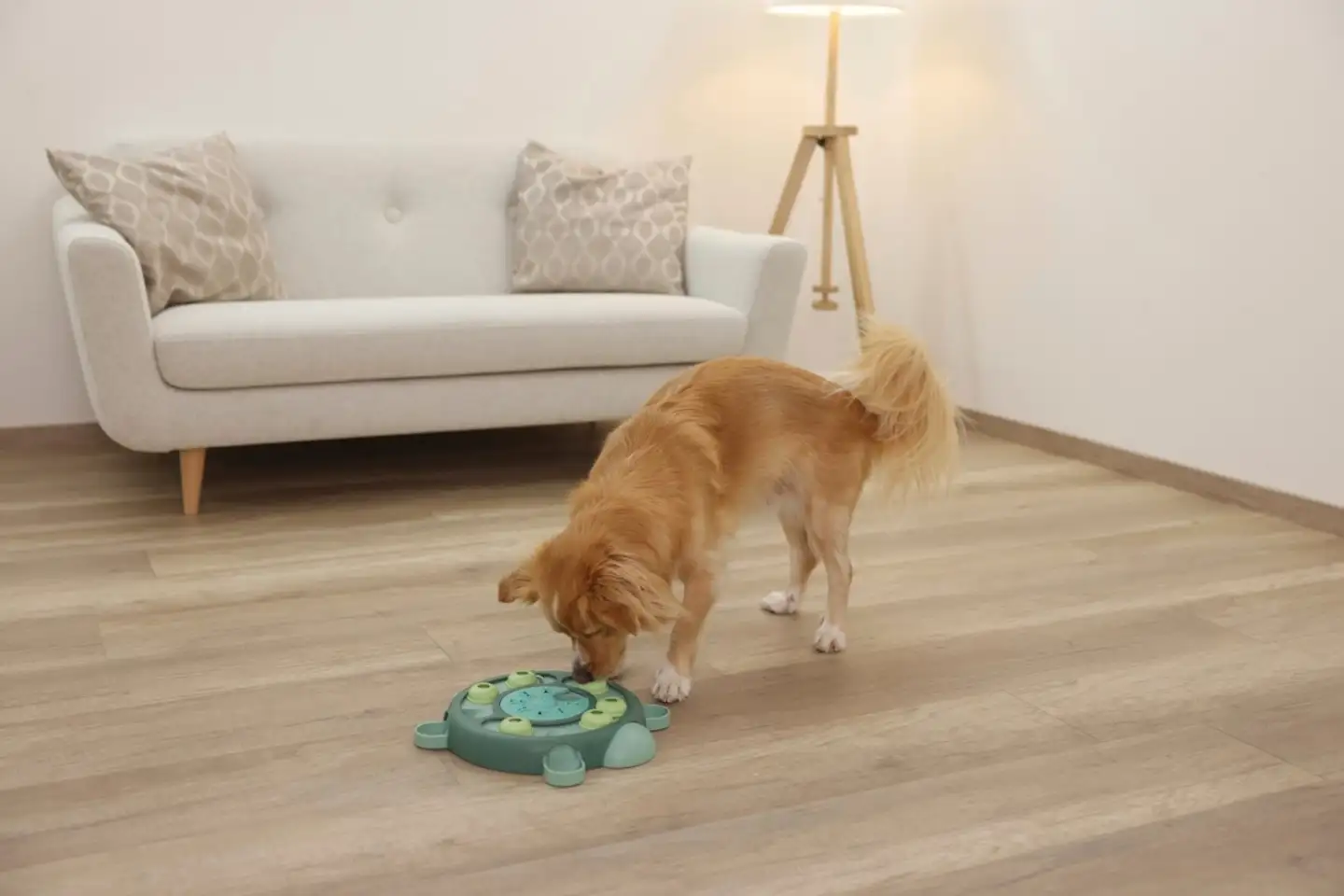 Kerbl koiran aktivointilelu kilpikonna Ø25cm - 12