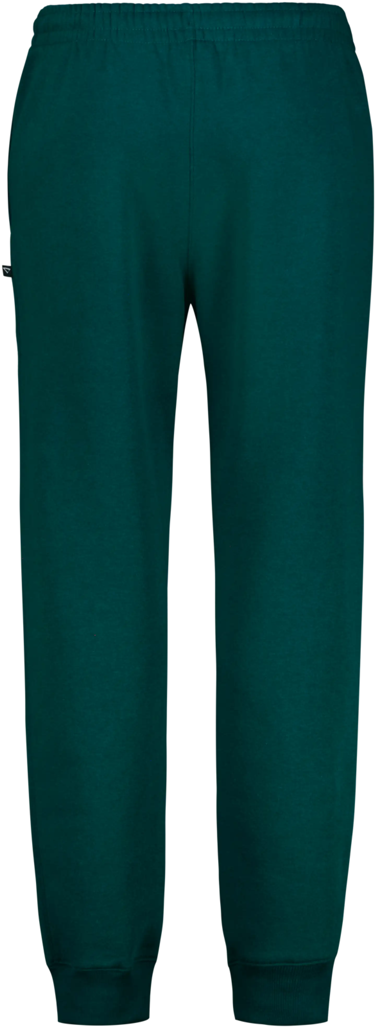 Cheetah miesten collegehousut CMP3705 - Galactic Teal - 2