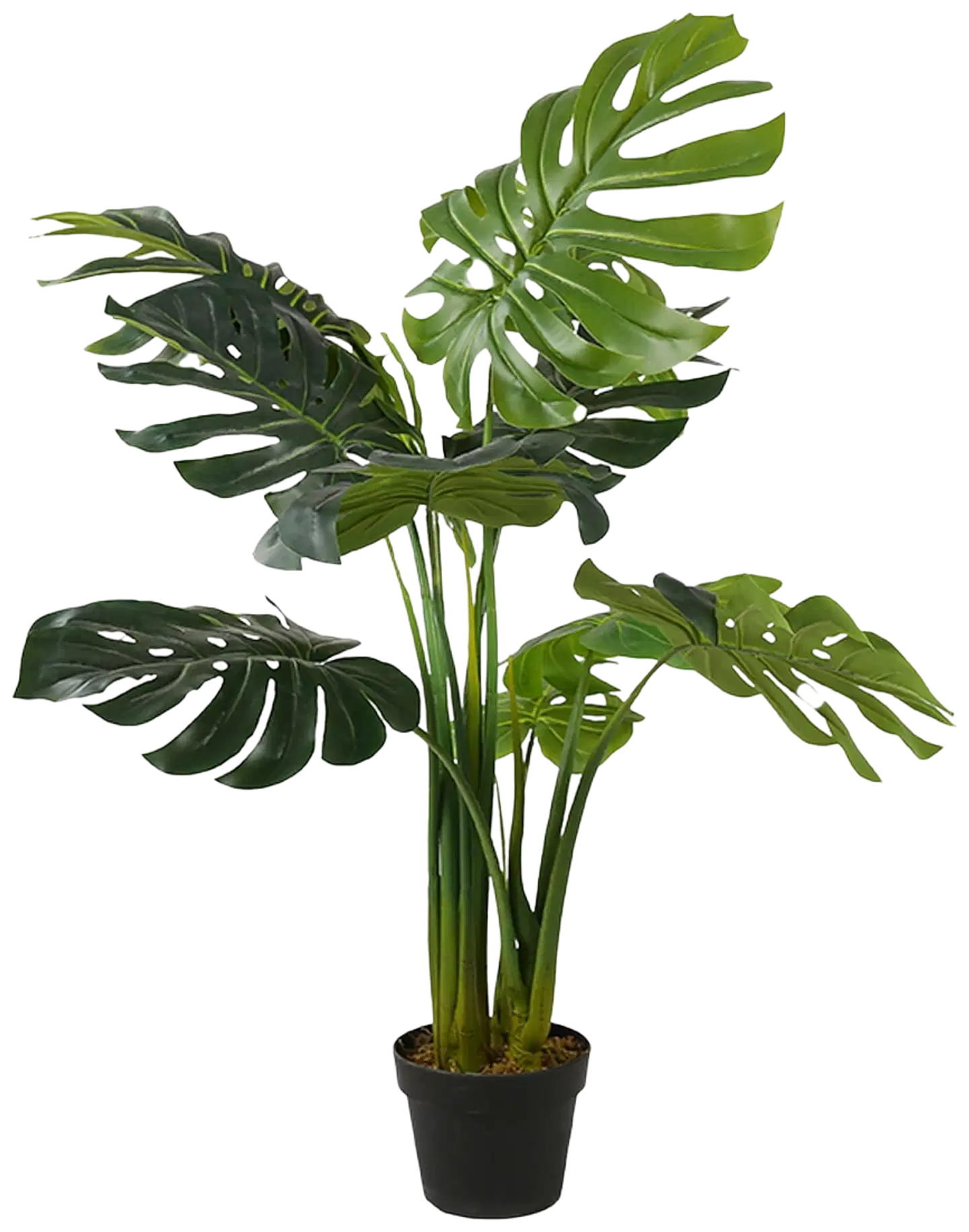 Lykke tekokasvi monstera plant 115cm - 1