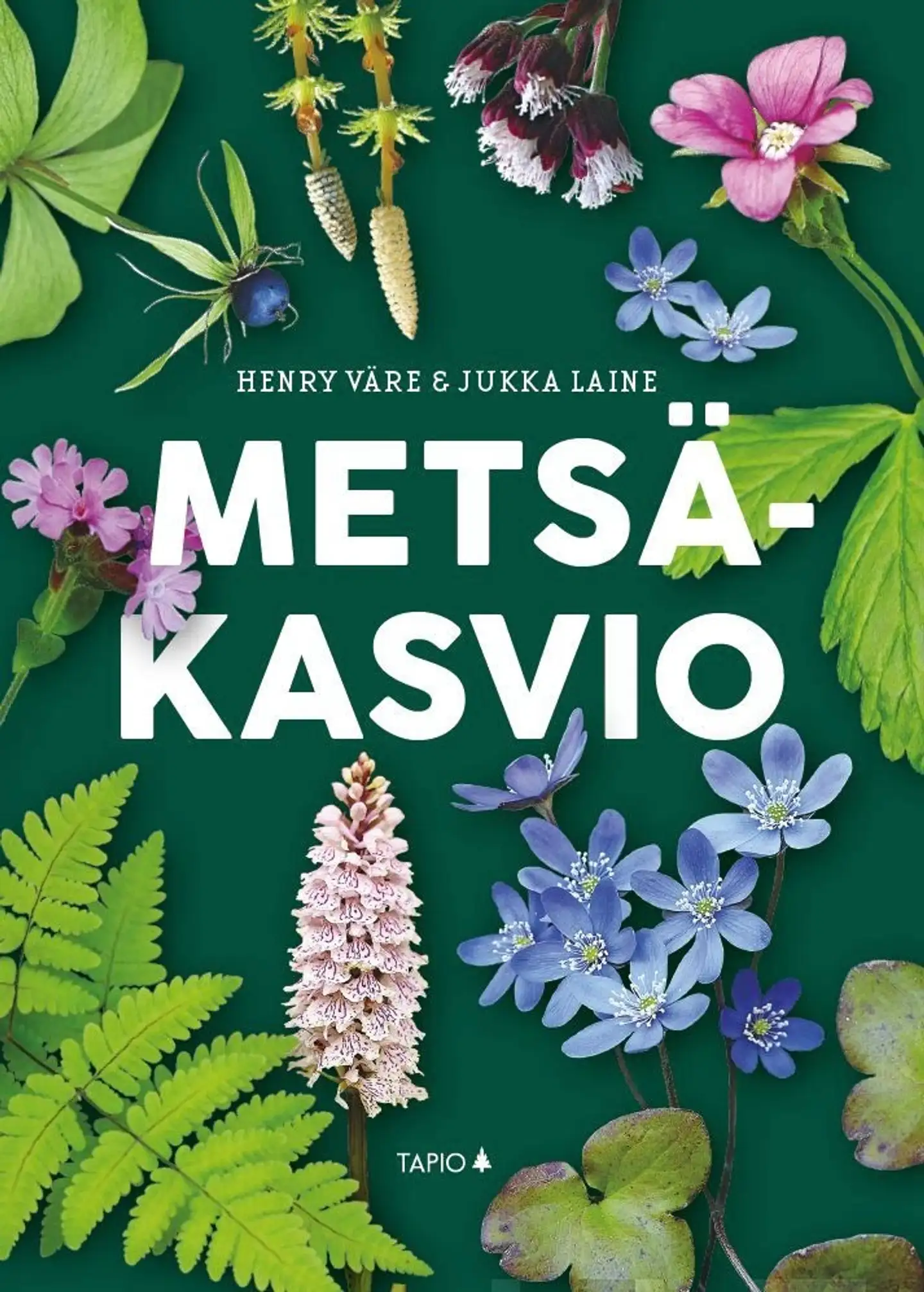 Väre, Metsäkasvio