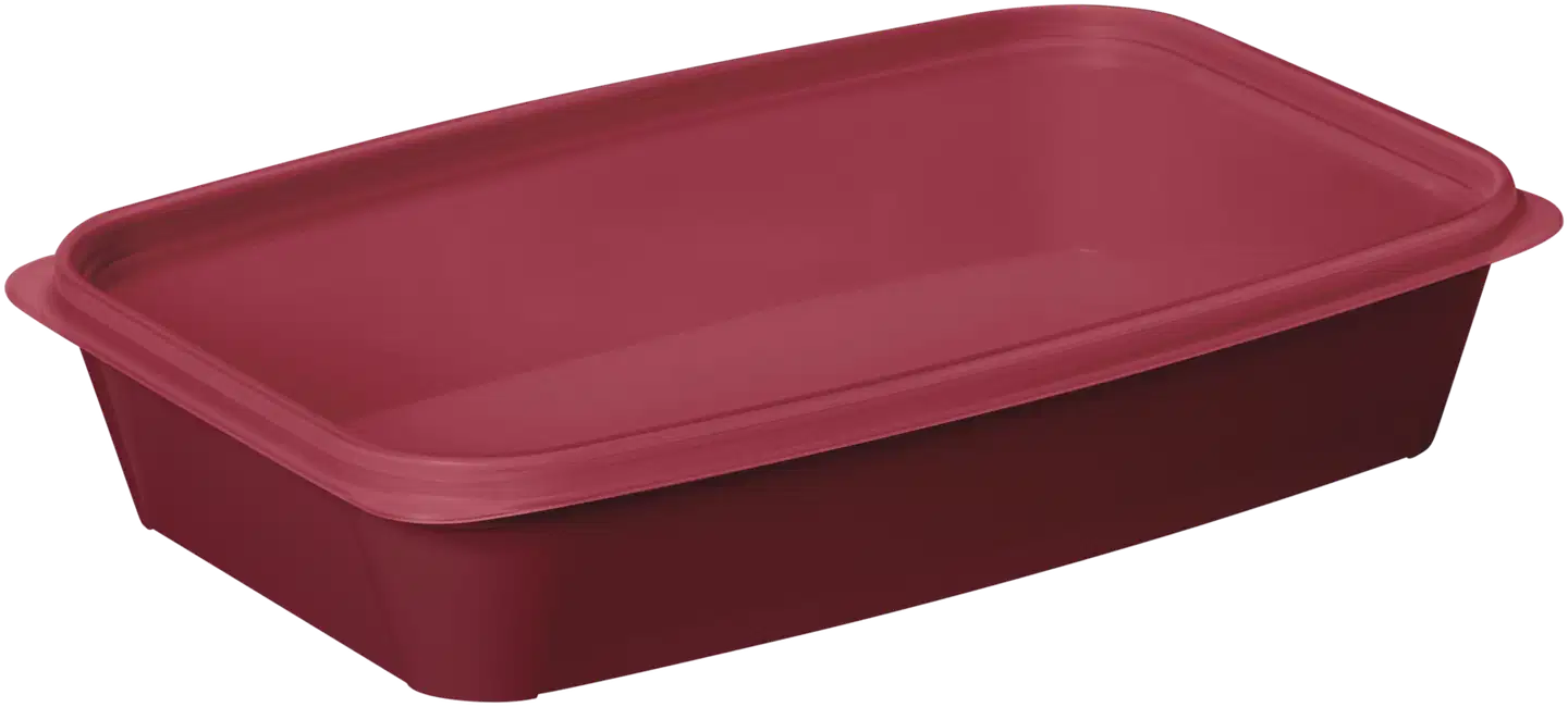 SmartStore™ Easy lounasrasia 1,2 L