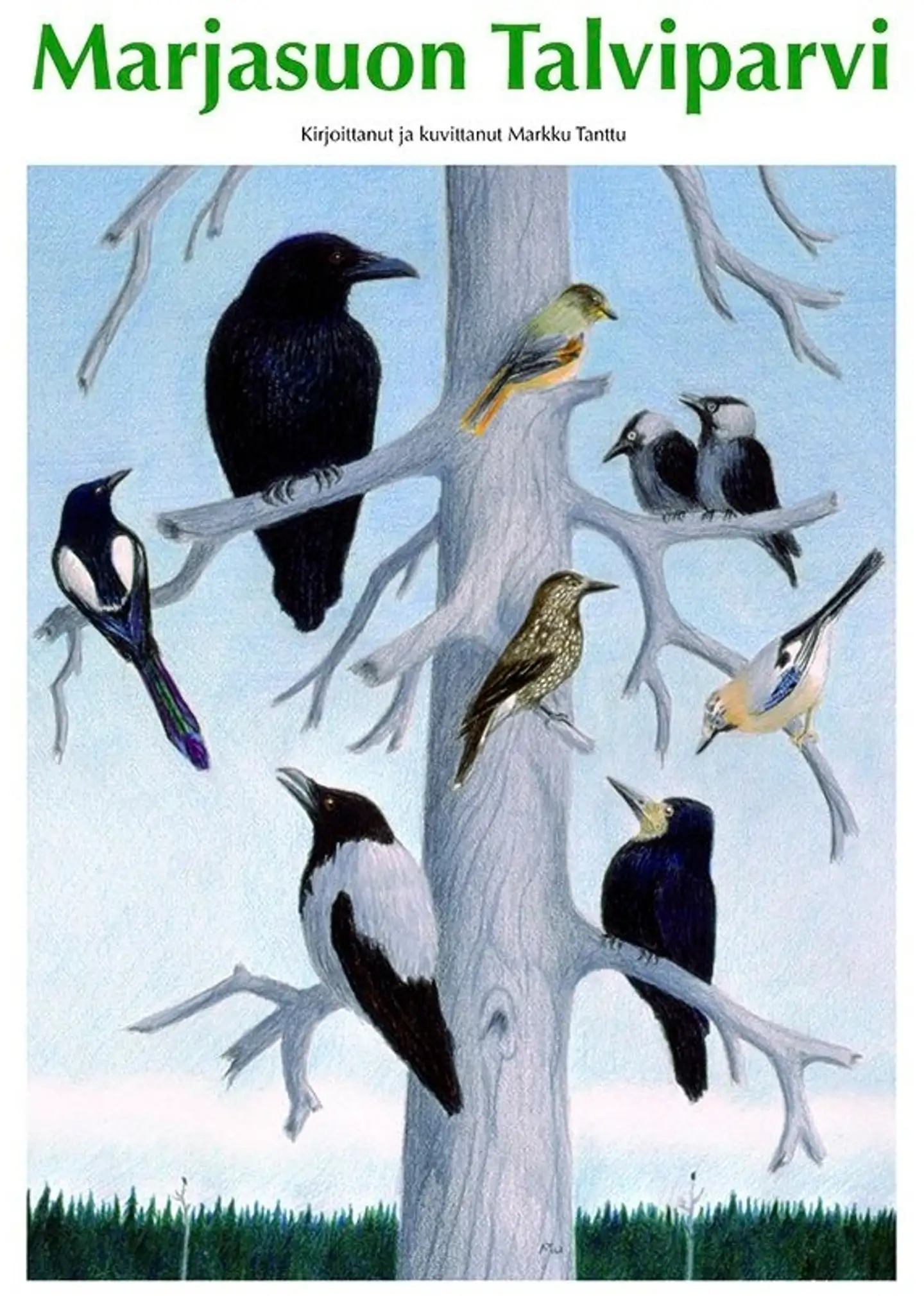 Tanttu, Marjasuon Talviparvi