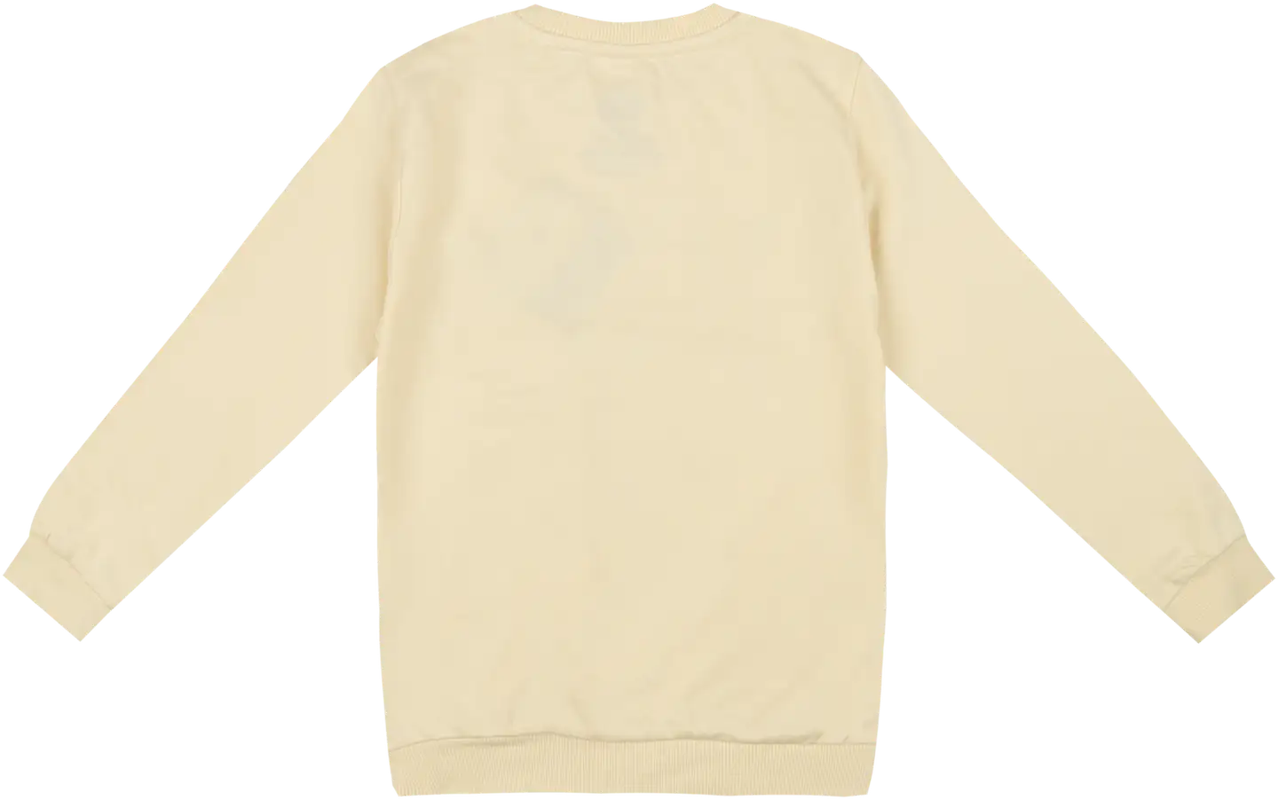 Paw Patrol lasten collegepaita PTQ20019A - BEIGE - 2