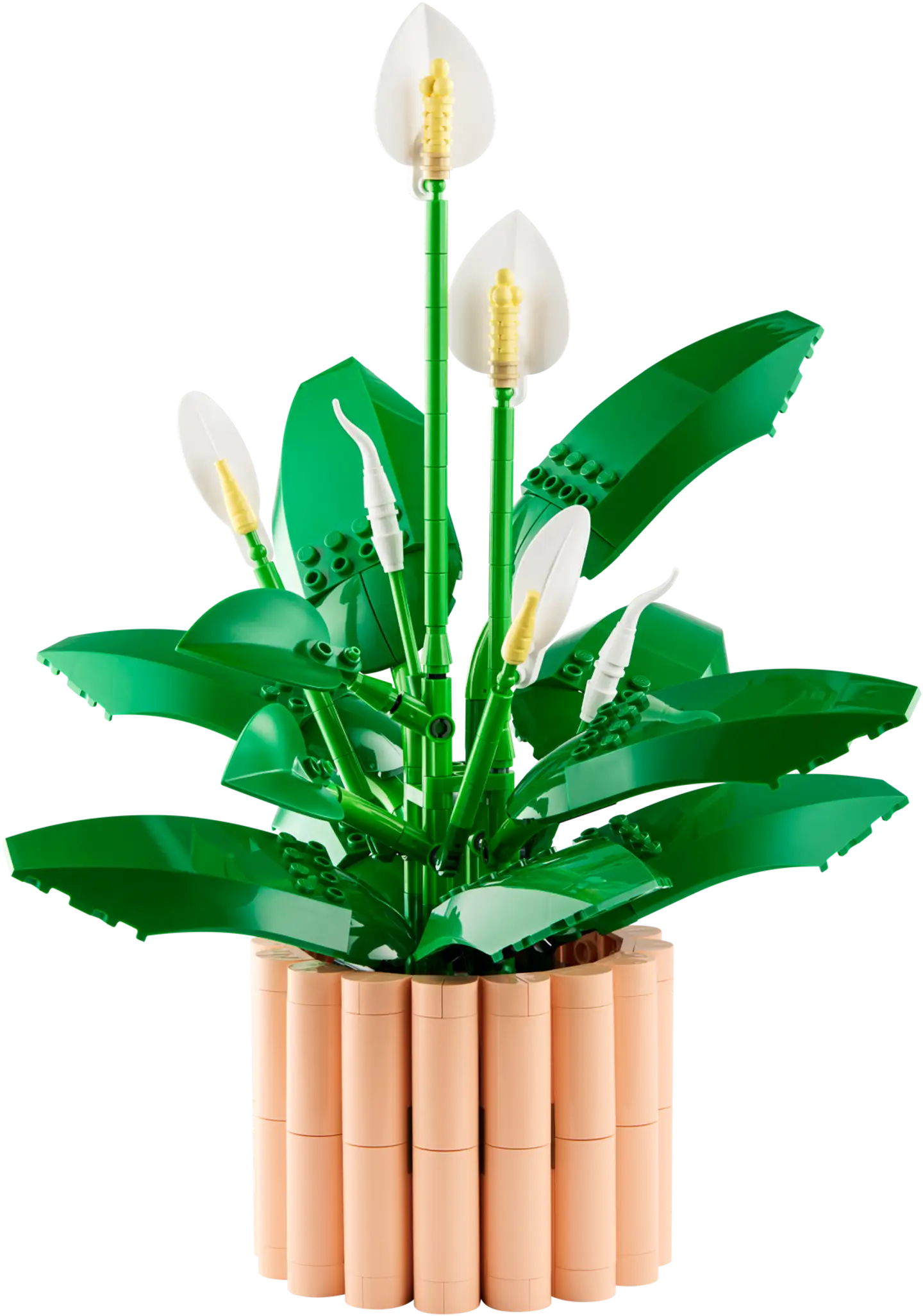 LEGO® Botanicals 11504 Viirivehka - 2