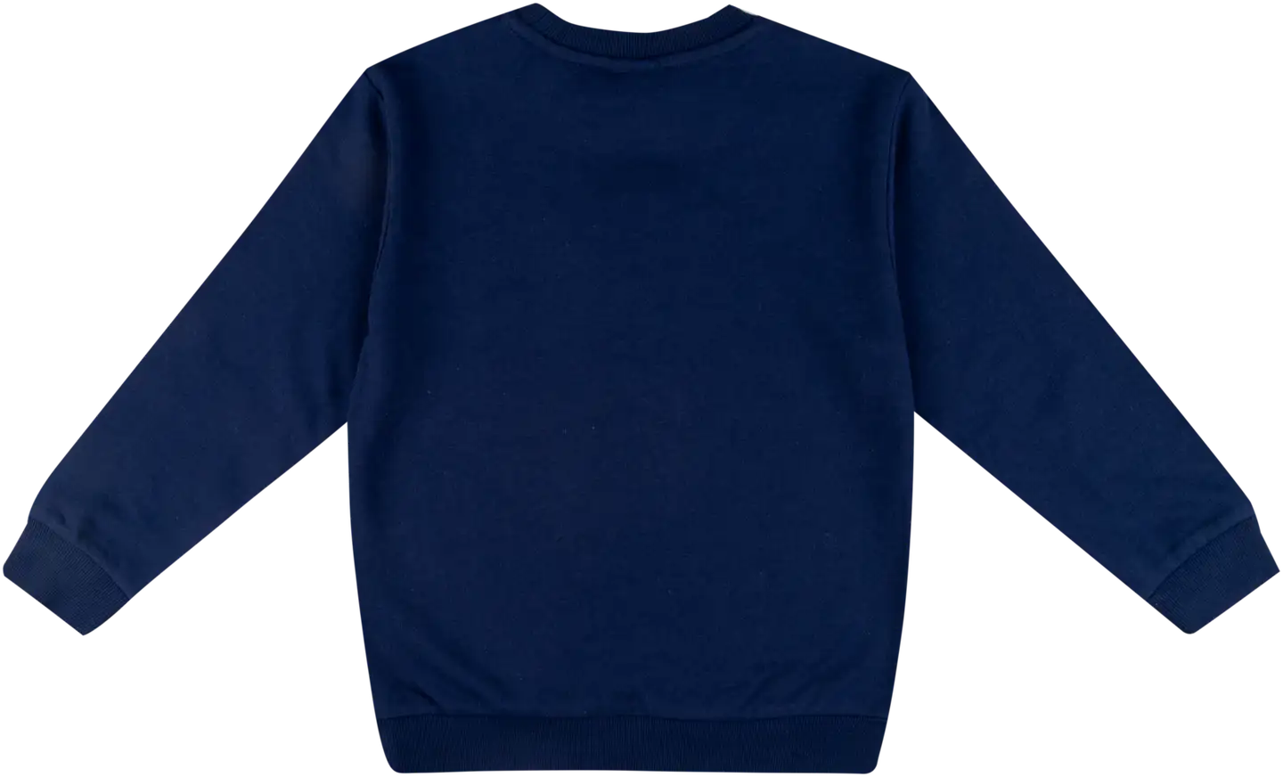 Ciraf lasten collegepusero 25PC254021 - 19-3932tcx naval academy - 2