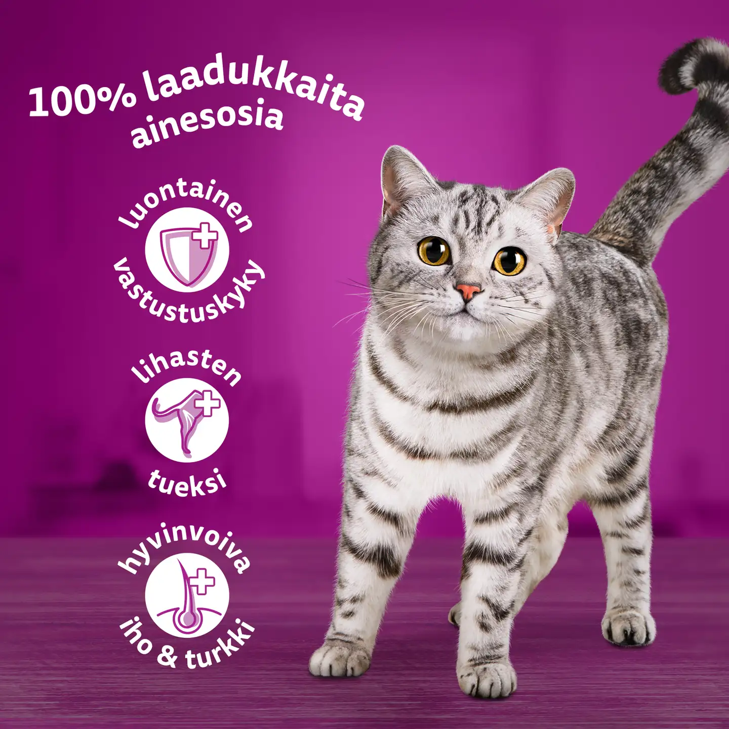 Whiskas 1+ Siipikarjaherkut kastikkeessa (12 x 85 g) - 5