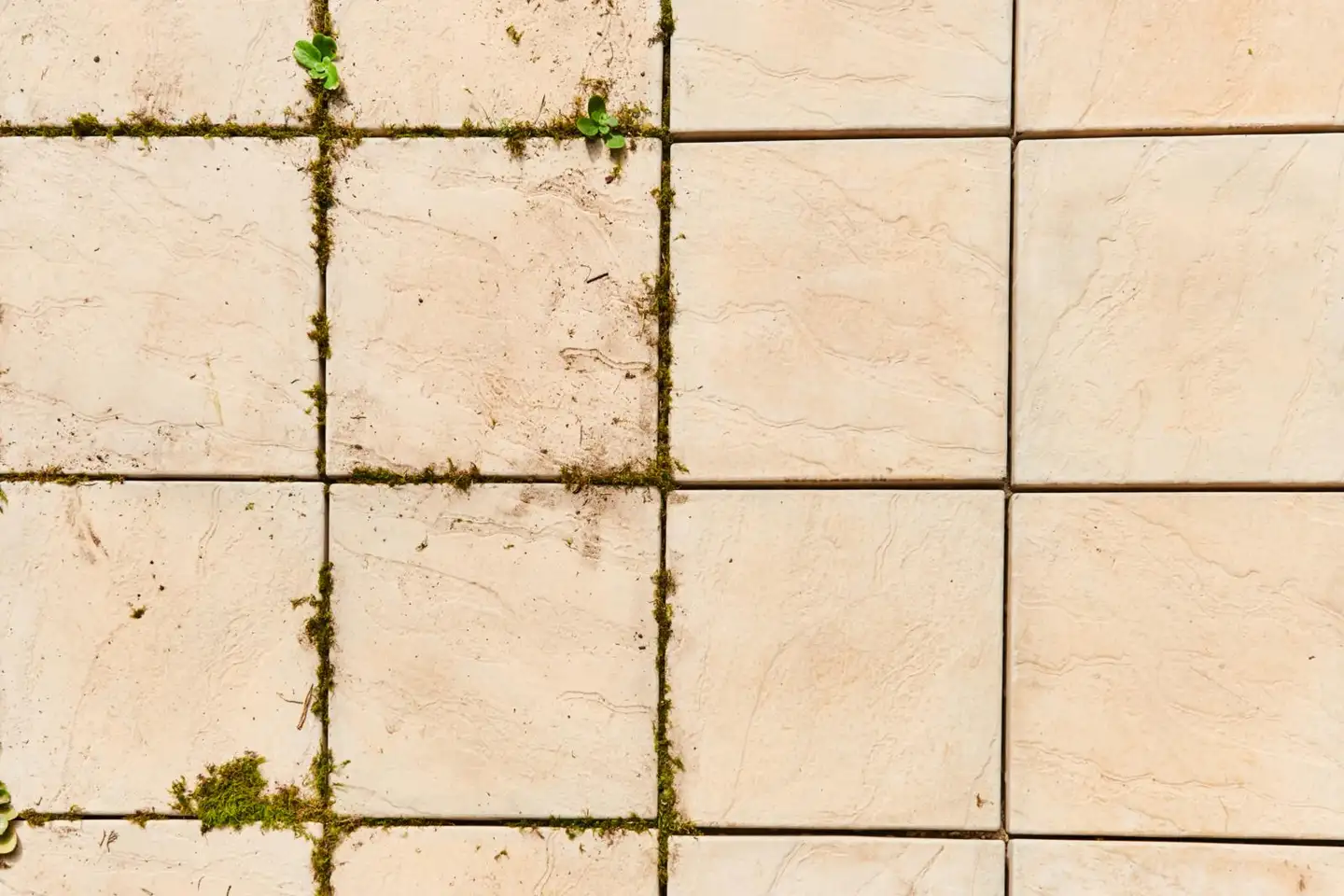 Ryobi 18V akkusaumaharja RY18PCA-0 - 4