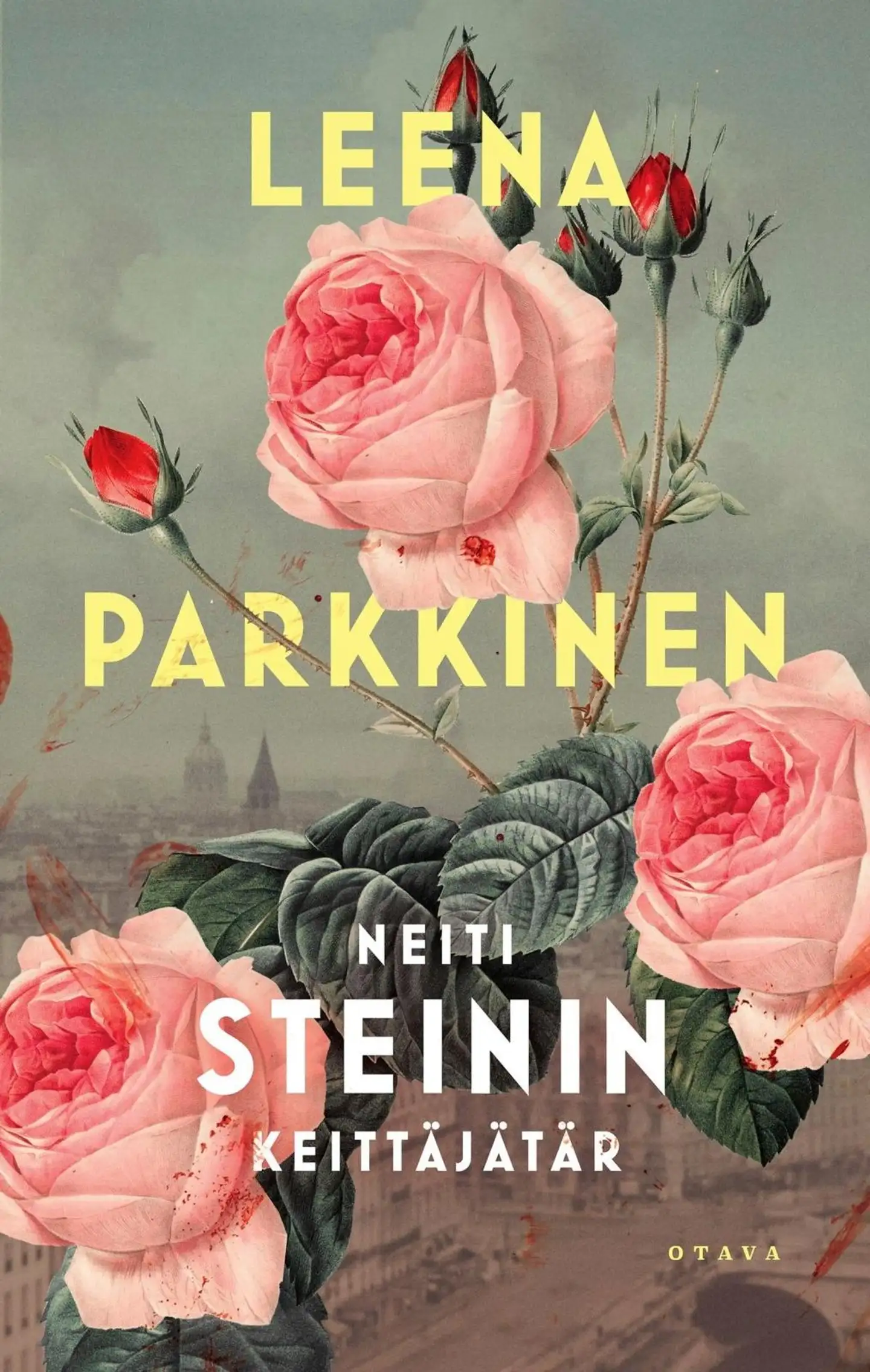 Parkkinen, Neiti Steinin keittäjätär