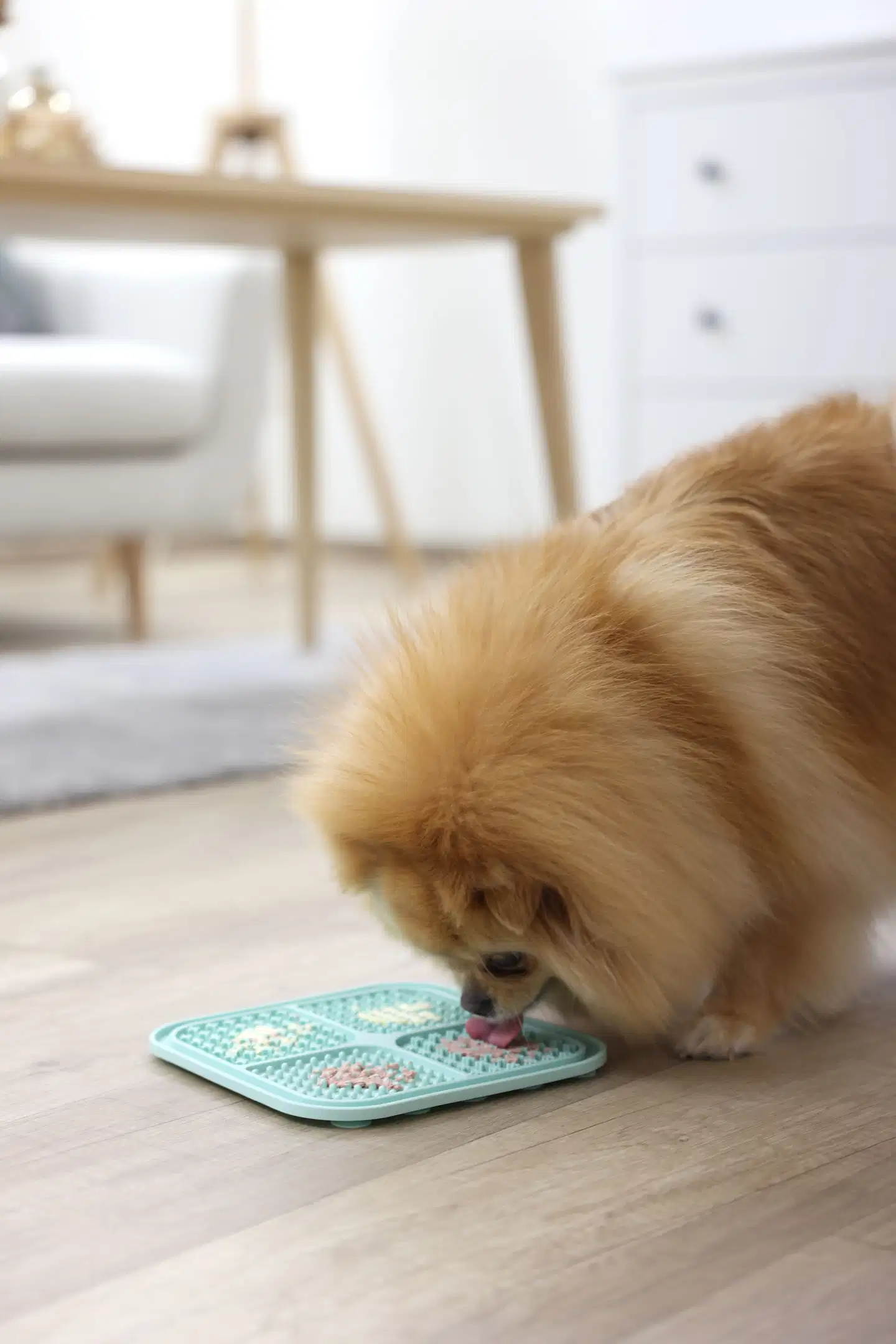 Kerbl lemmikin nuolumatto, turkoosi 20x20cm - 10