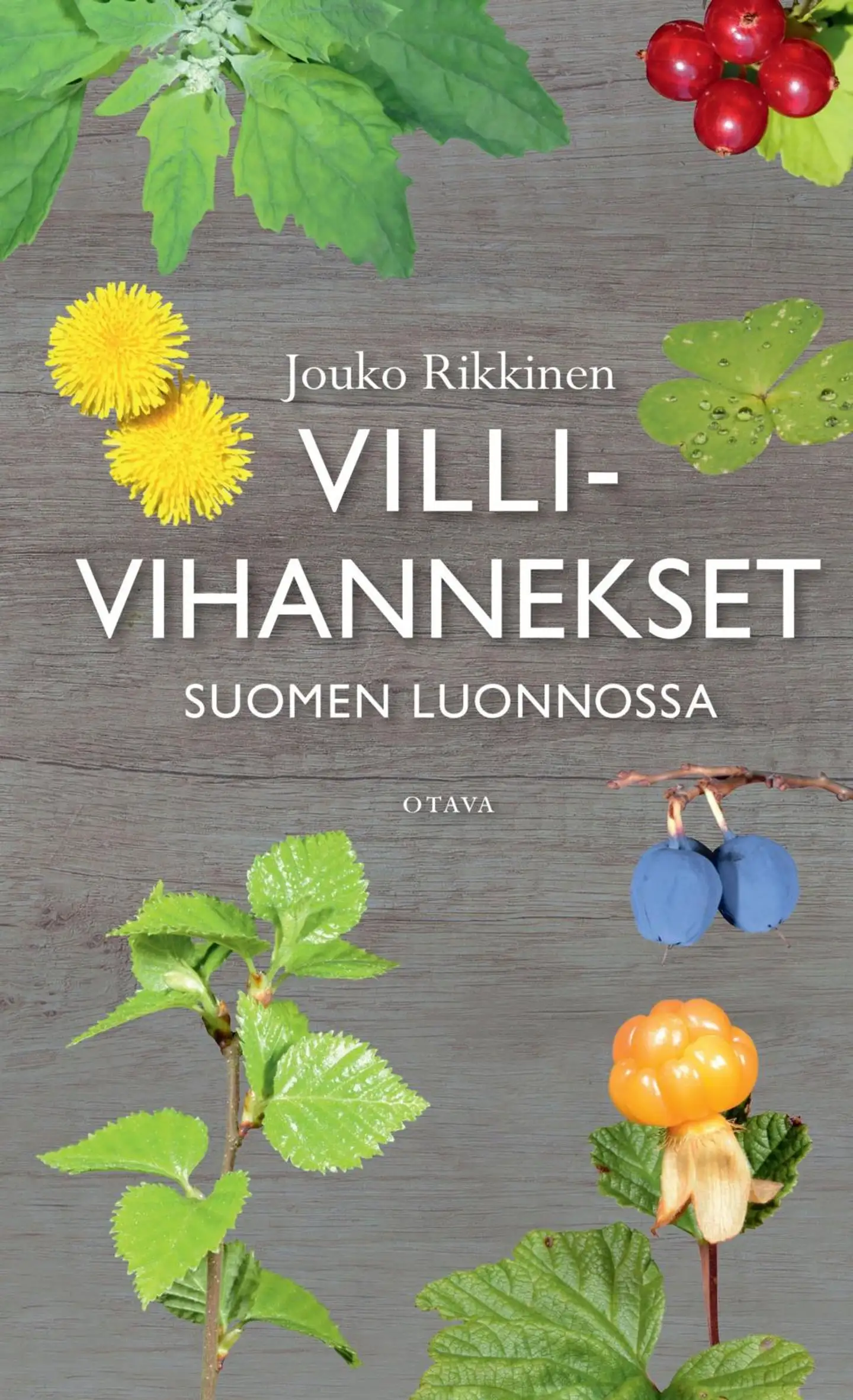 Rikkinen, Villivihannekset Suomen luonnossa