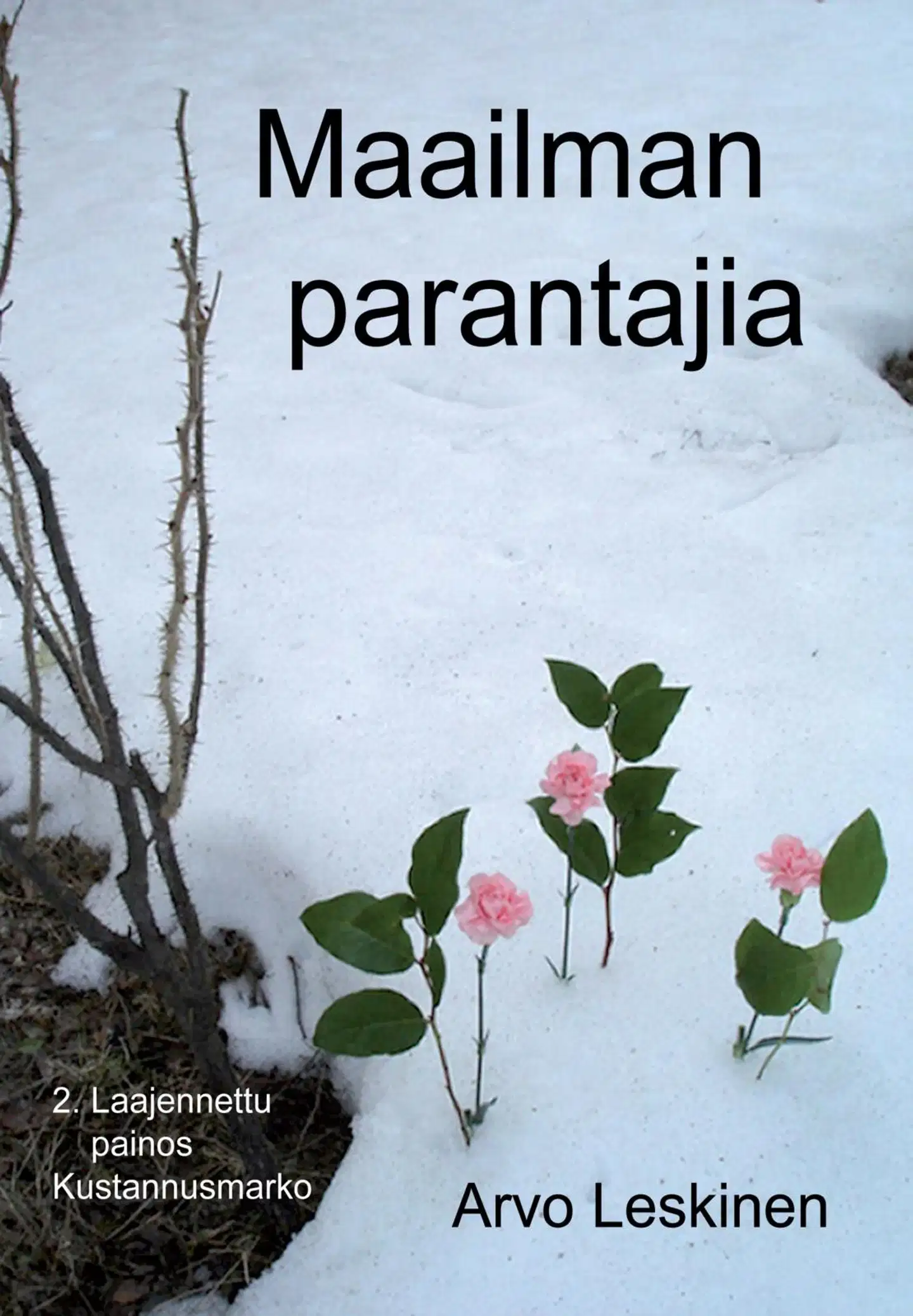 Leskinen, Maailman parantajia - Näin on, mutta miten pitäisi olla?