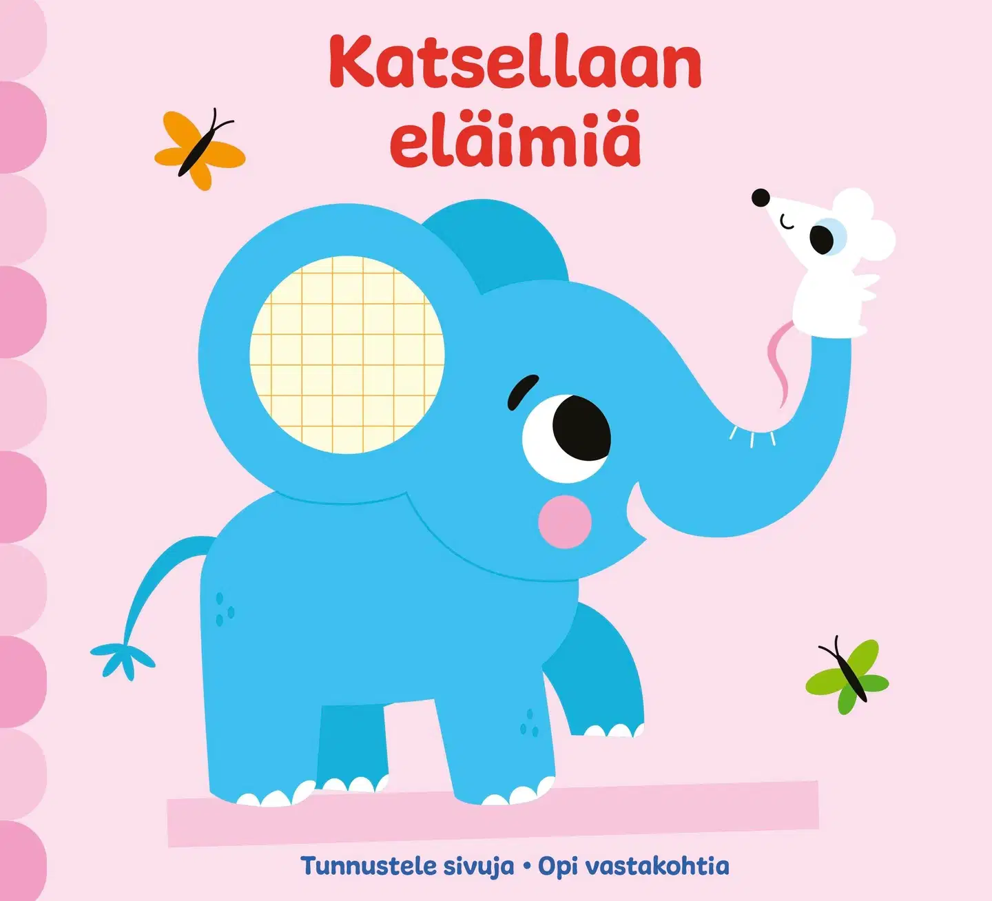 Katsellaan eläimiä