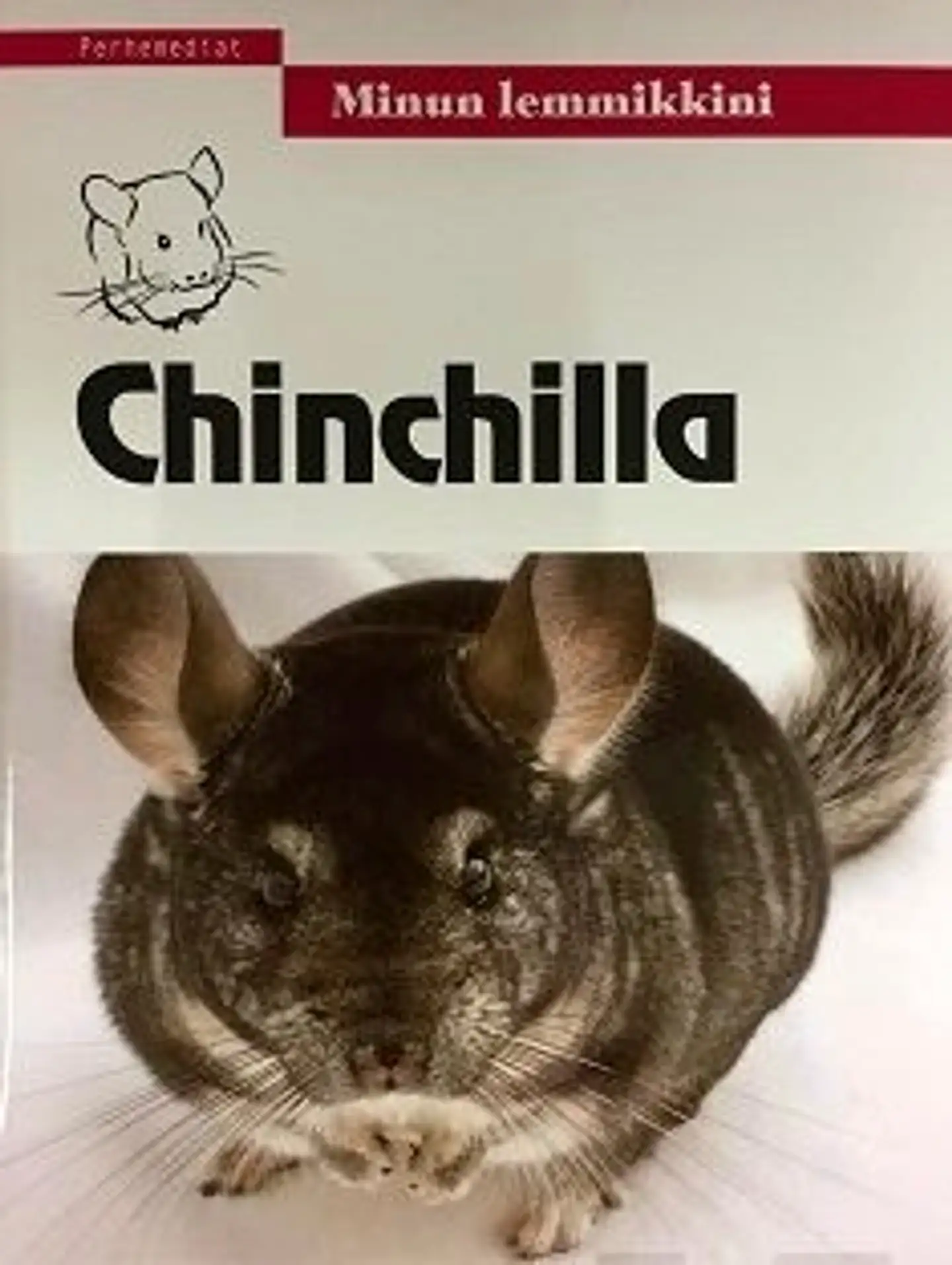 Chinchilla