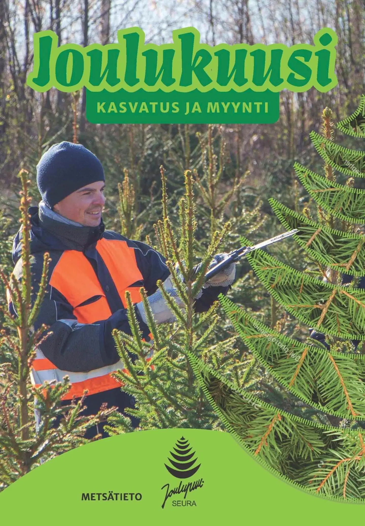 Dalman, Joulukuusi - Kasvatus ja myynti