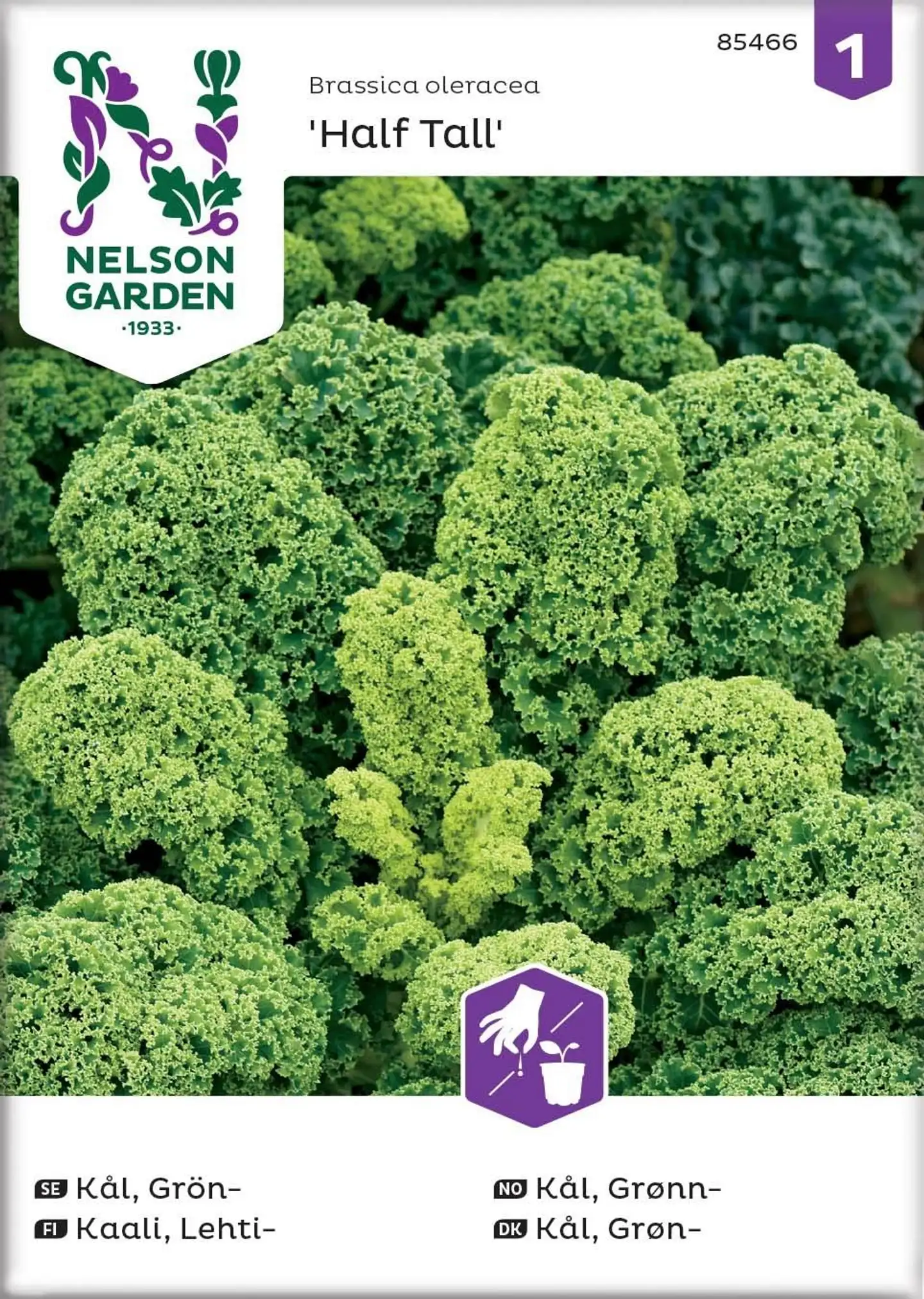 Nelson Garden Siemen Kaali, Lehti-, Half Tall