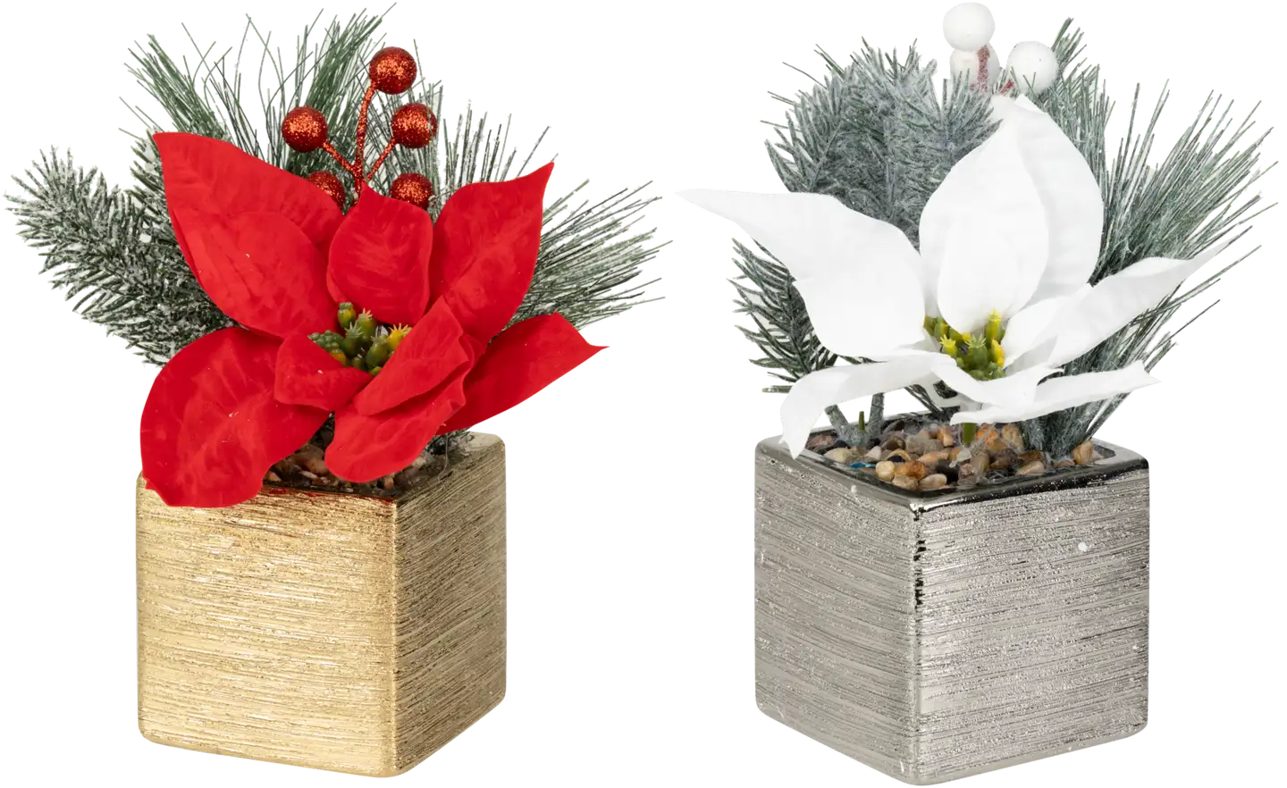 Tekokasvi Jouluasetelma ruukussa, erilaisia - 1