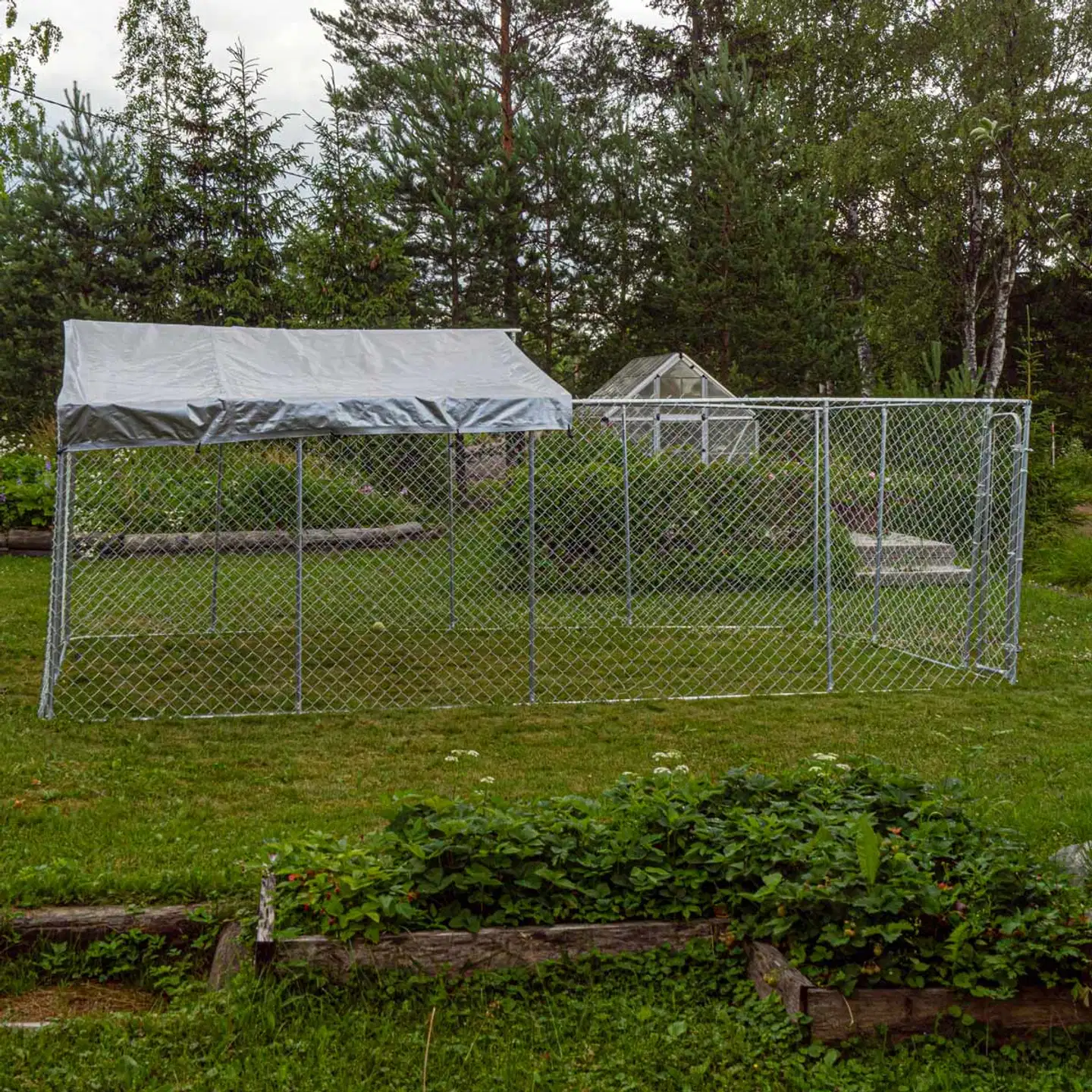 Trekker koira-aitaus katoksella 6x3 m harmaa - 4