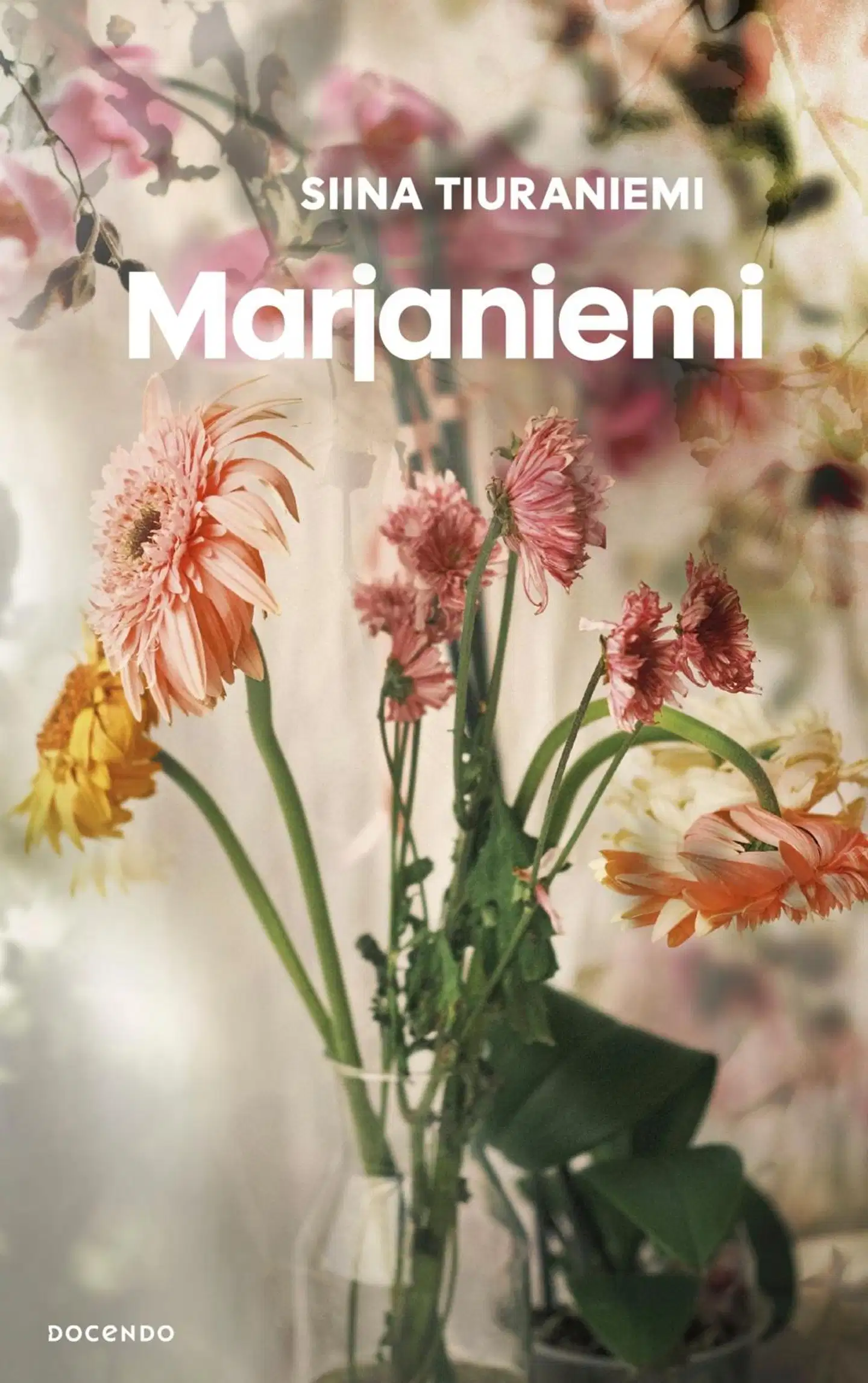 Tiuraniemi, Marjaniemi