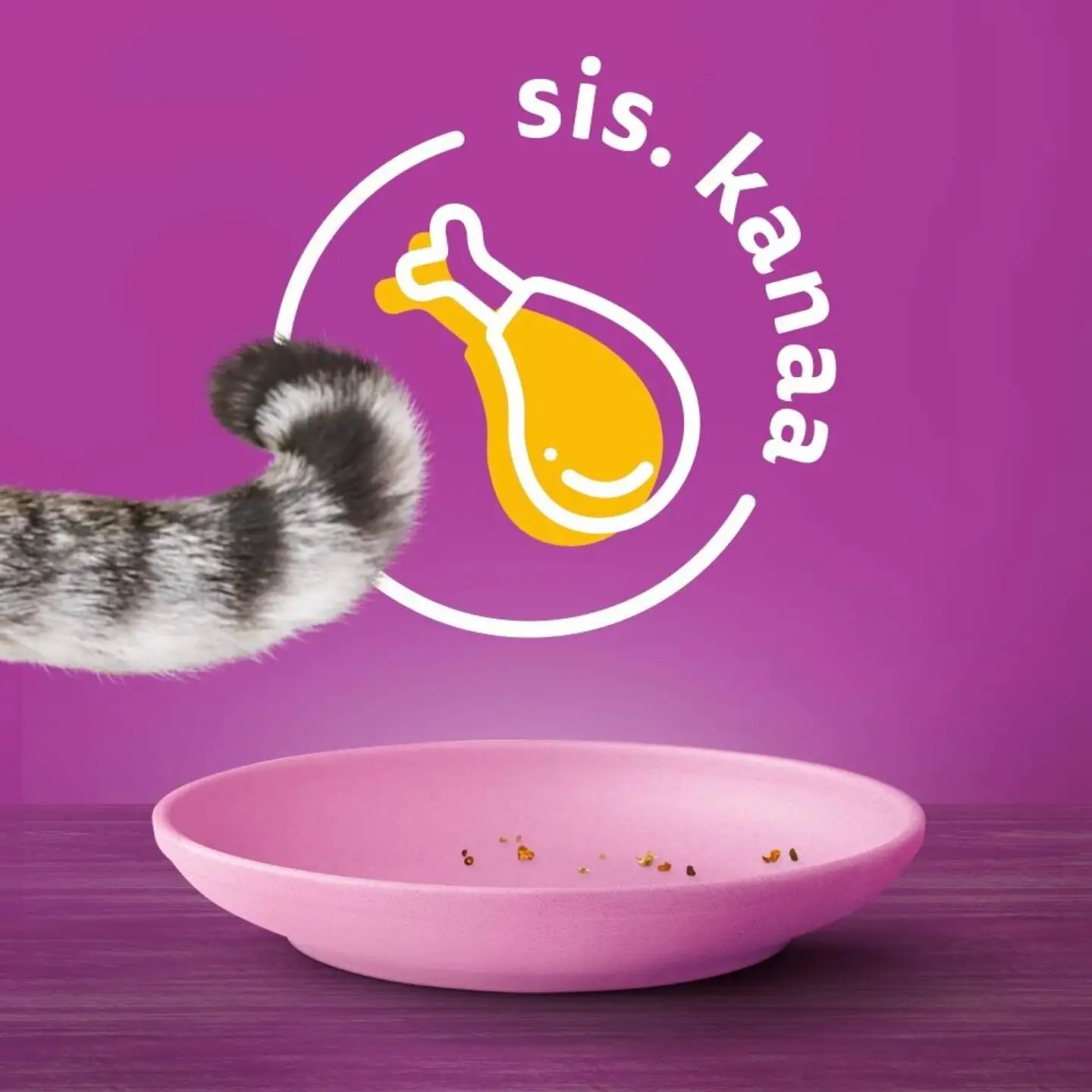 Whiskas Junior sis. Kanaa (800 g) - 4