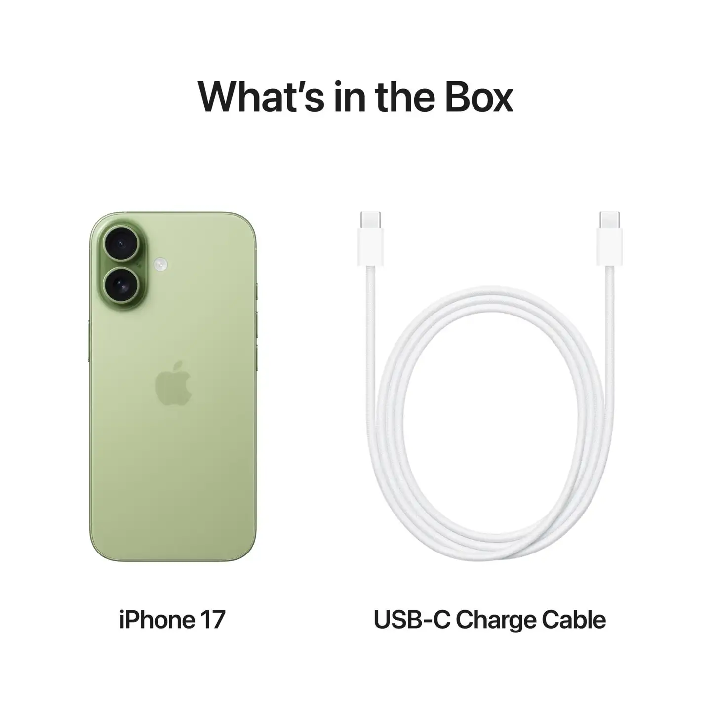 Apple iPhone 17 256GB - salvia - MG6N4QN/A - 6