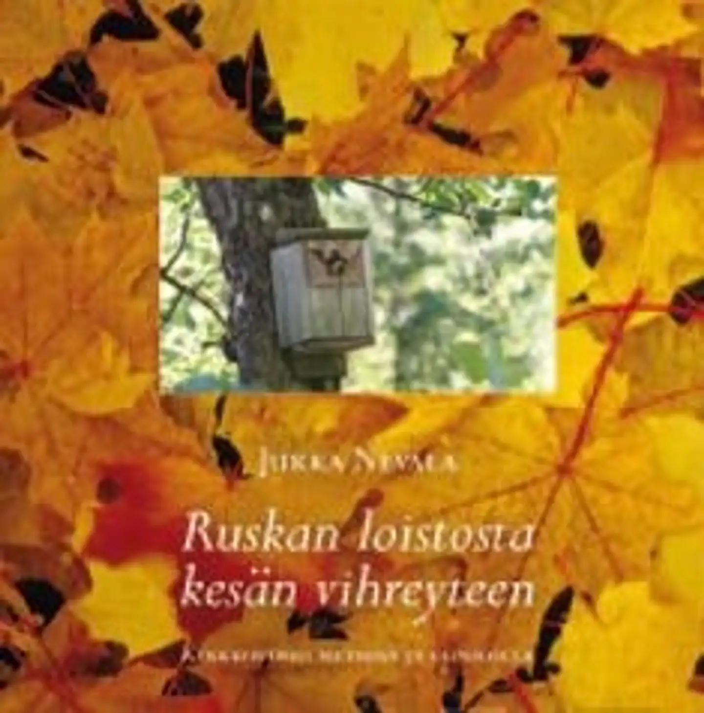 Nevala, Ruskan loistosta kesän vihreyteen - kirkkovuosi metsissä ja vainioilla