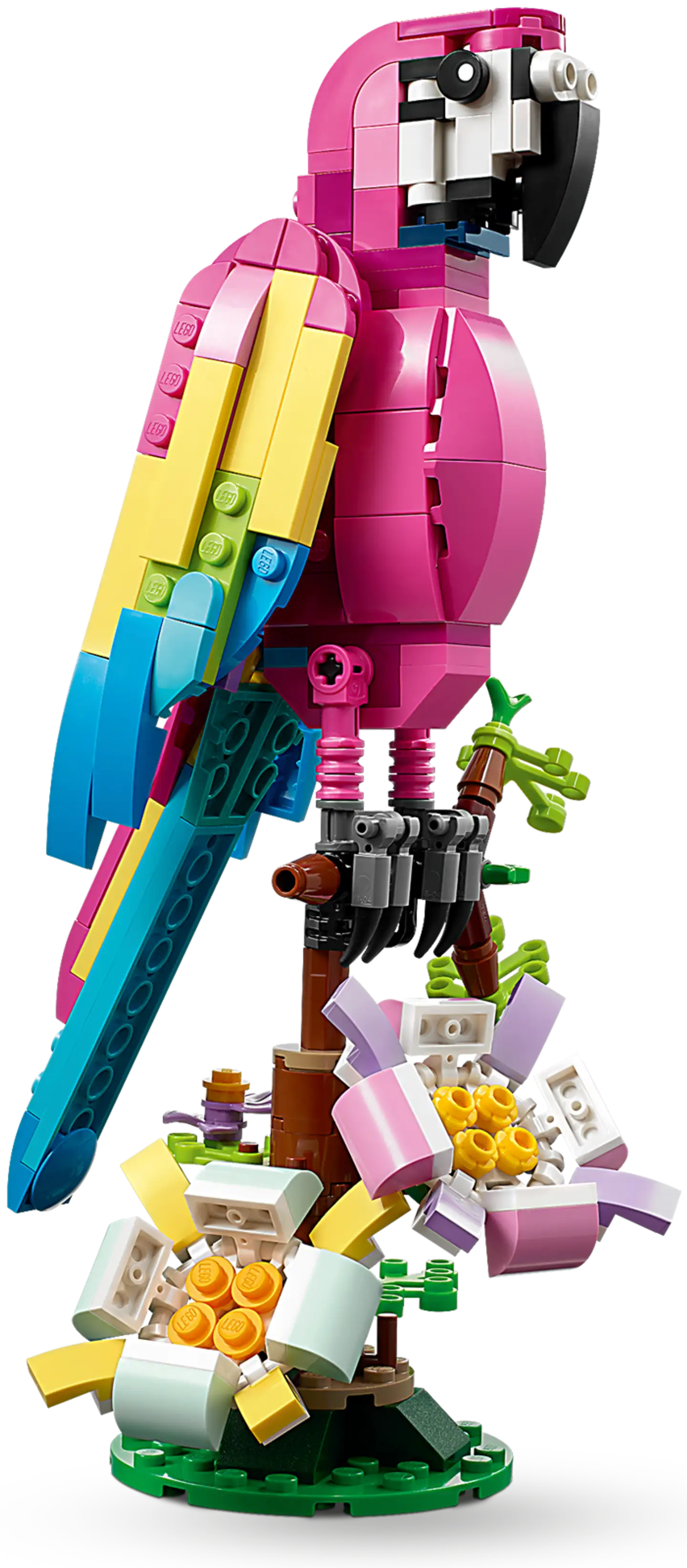 LEGO Creator 31144 Eksoottinen pinkki papukaija - 7