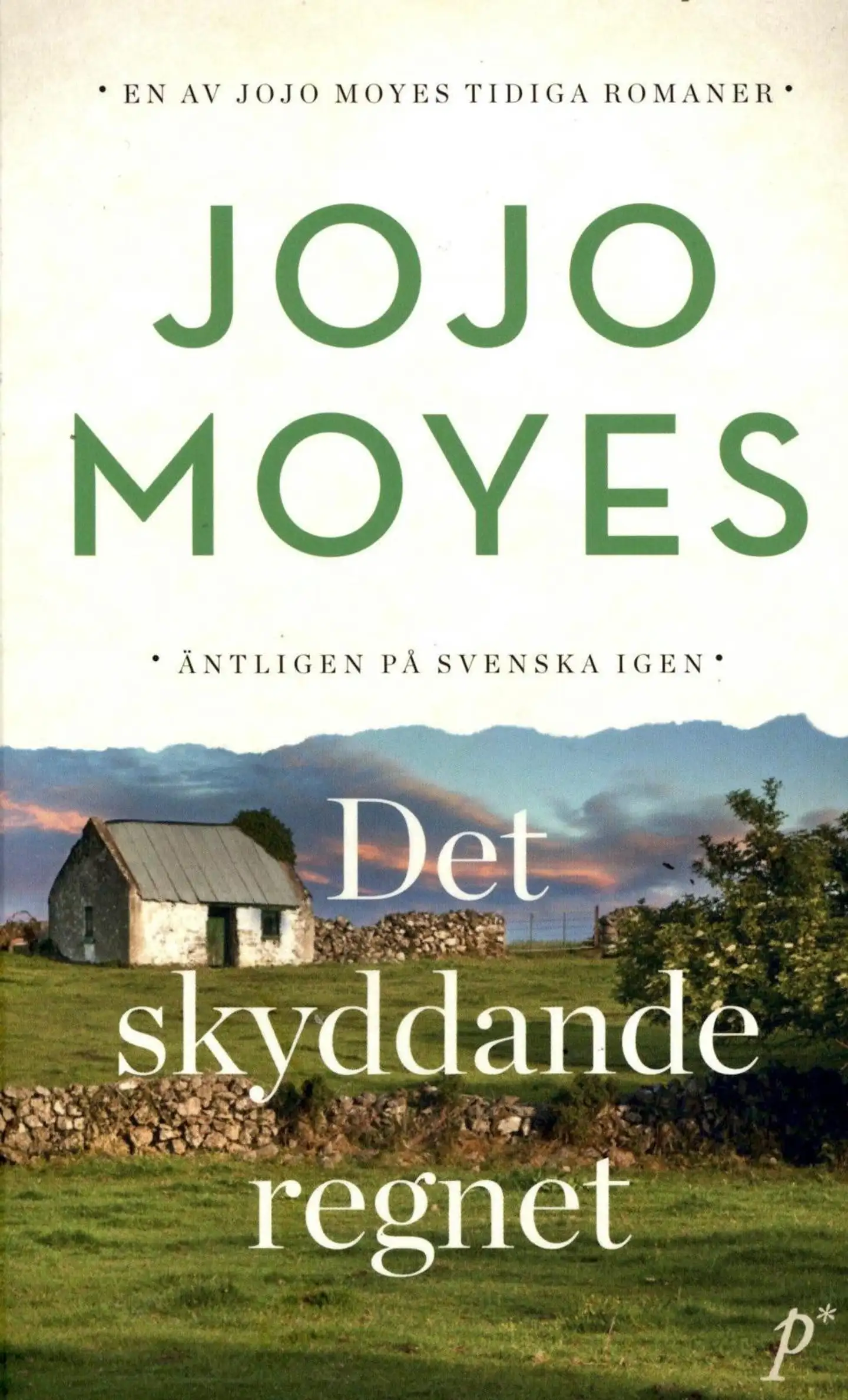 Moyes, Jojo: Det skyddande regnet pokkari