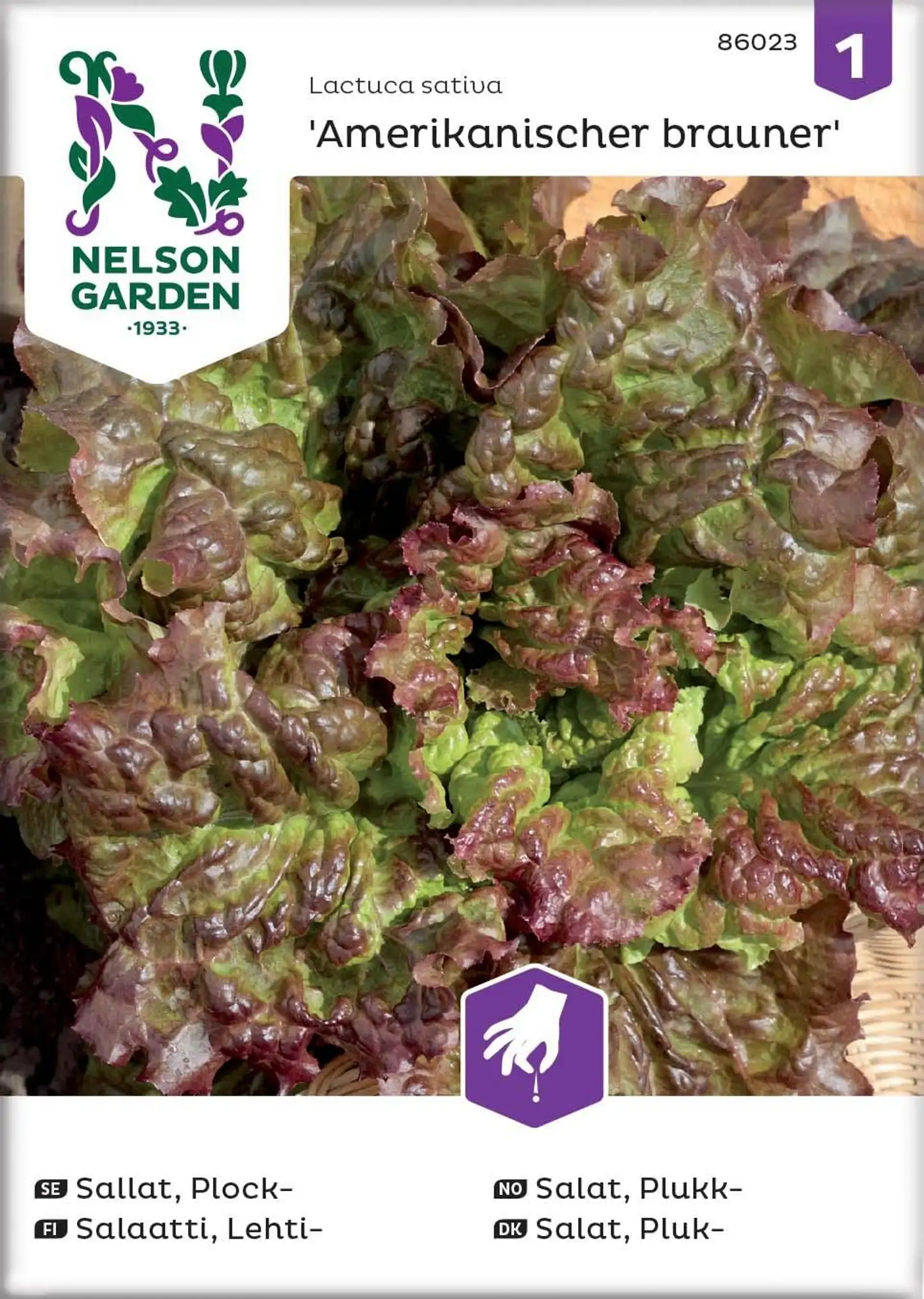 Nelson Garden Siemen Salaatti, Lehti-,  Amerikkalainen