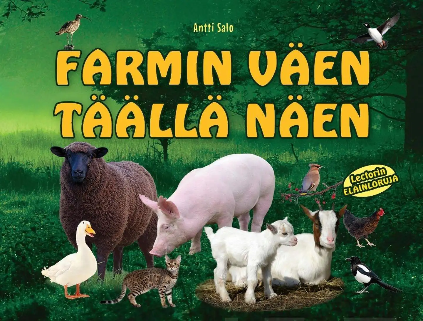 Salo, Farmin väen täällä näen