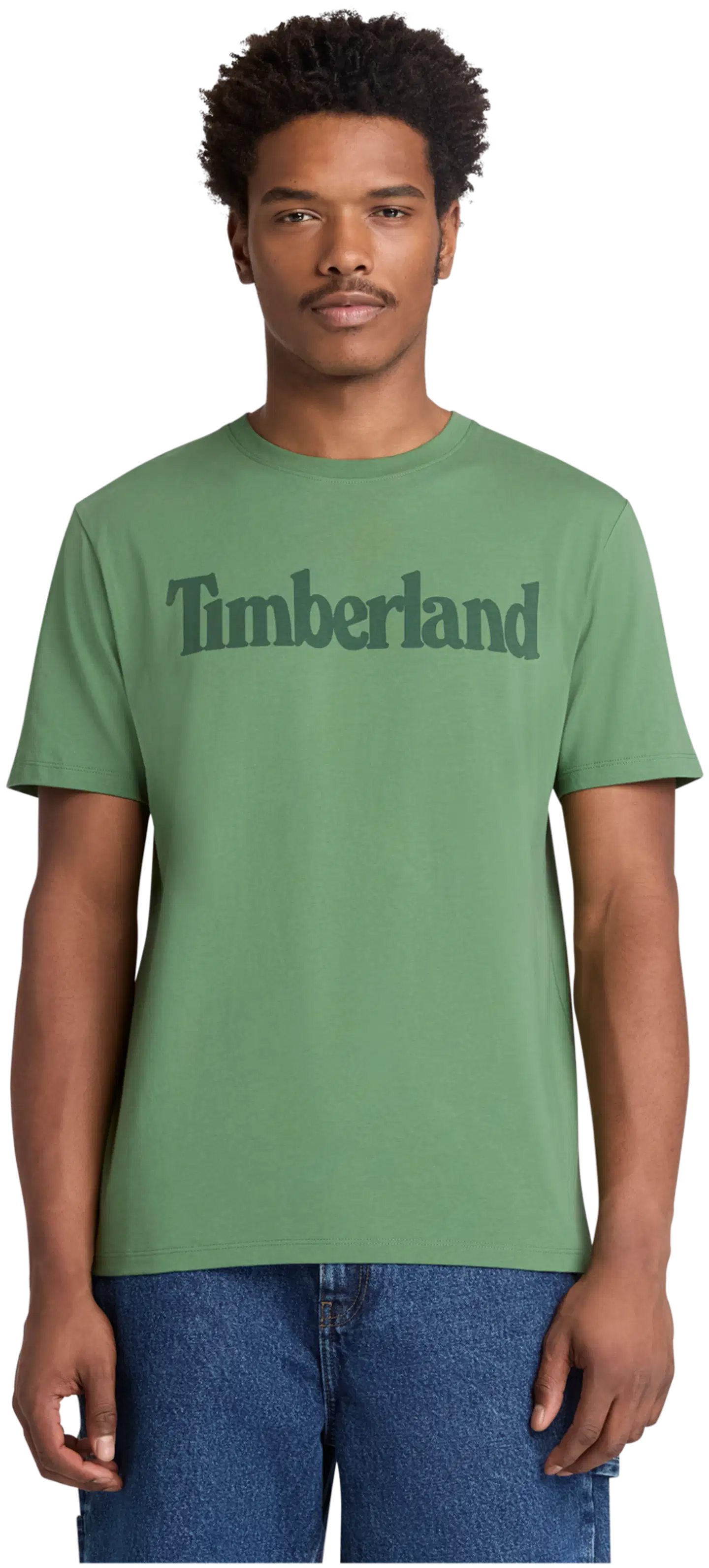 Timberland miesten t-paita Wordmark Logo - Myrtle - 1
