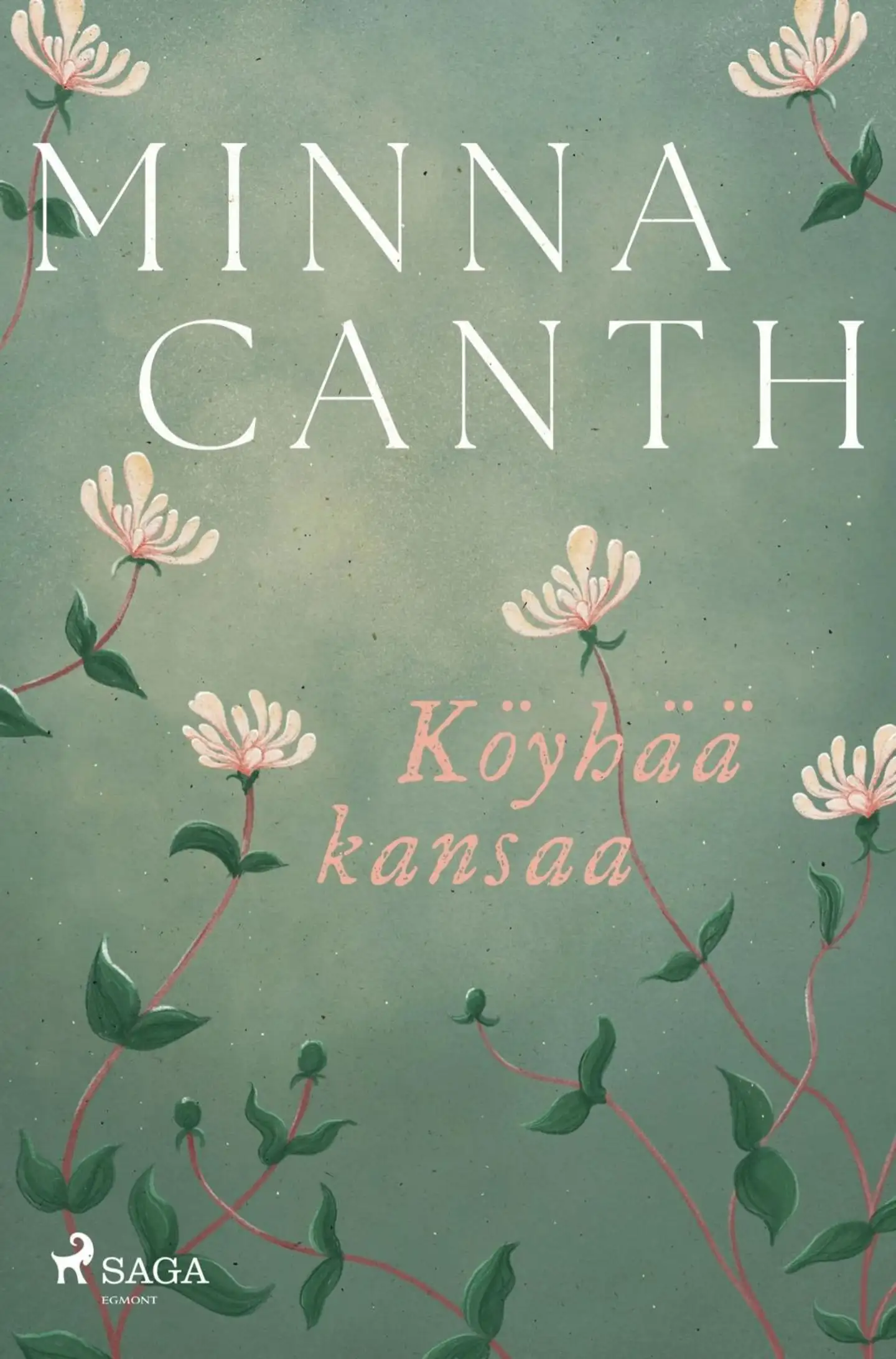 Canth, Köyhää kansaa