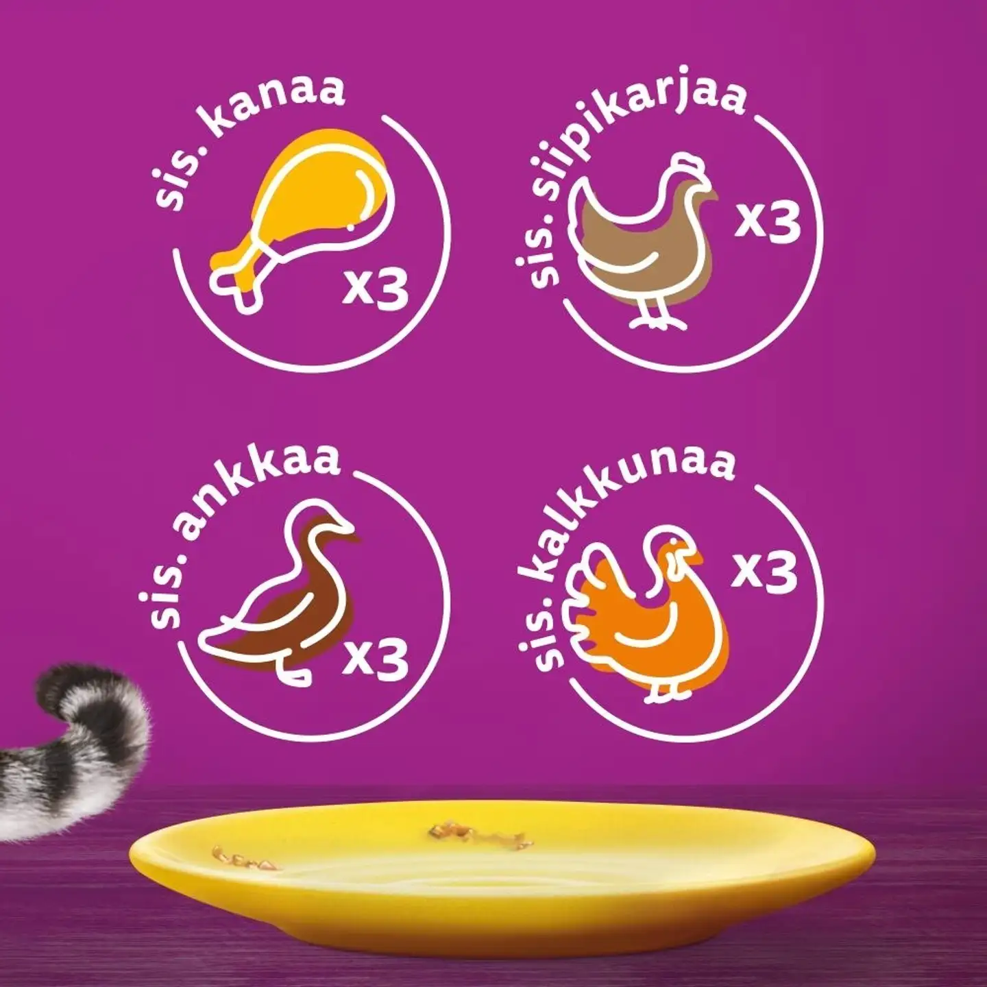 Whiskas 1+ Siipikarjaherkut kastikkeessa (12 x 85 g) - 2
